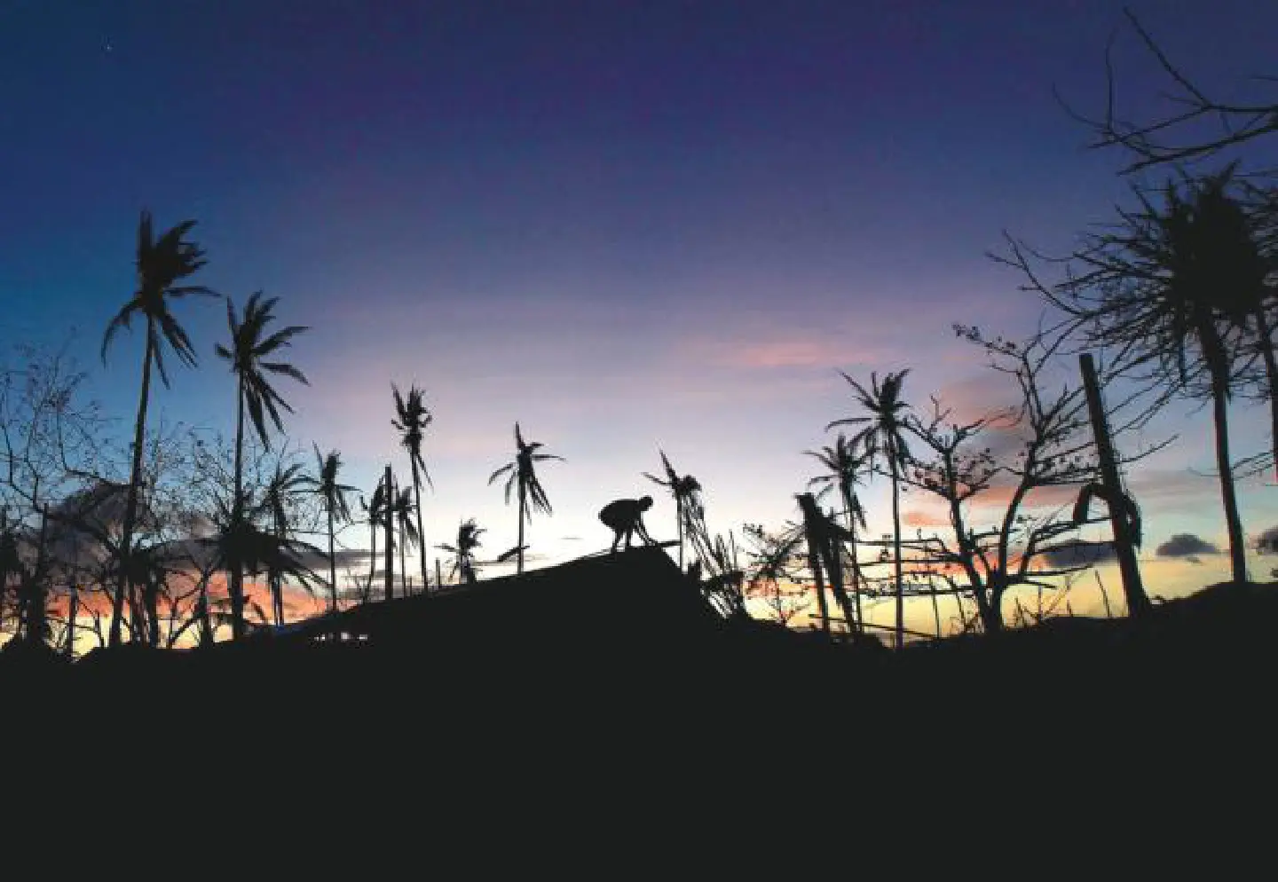 Bangkok finds a place in '100 Resilient Cities'