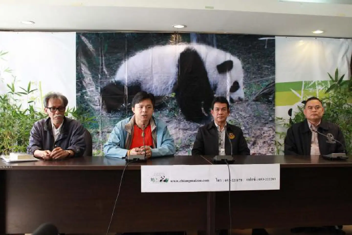Chiang Mai Zoo on alert as panda cub due any time Chiang Mai Zoo on alert as panda cub due any time