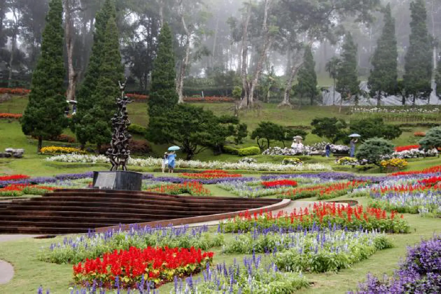 Fragrant success in Doi Tung