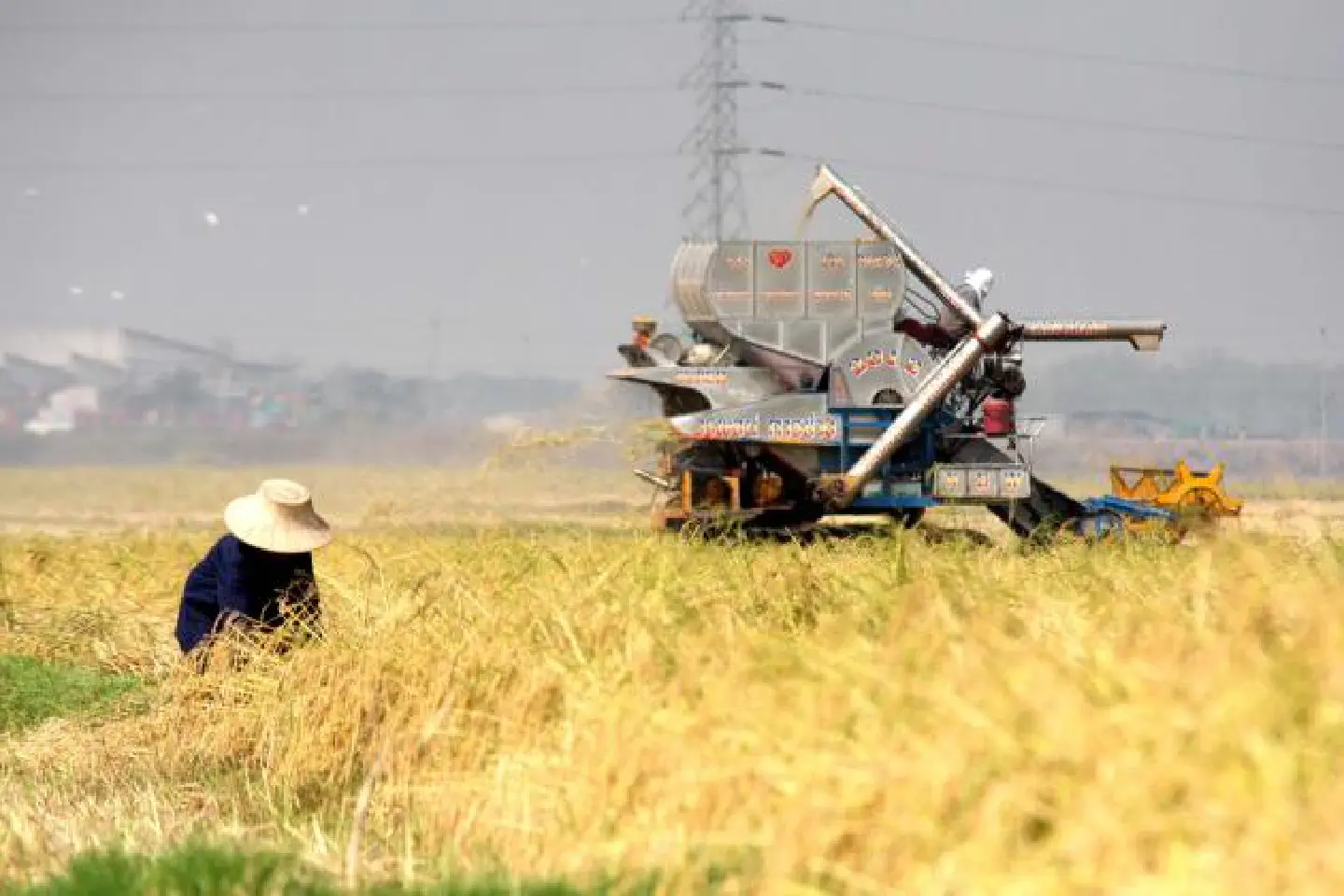 Unpaid rice farmers allege intimidation as protest ends Unpaid rice farmers allege intimidation as protest ends