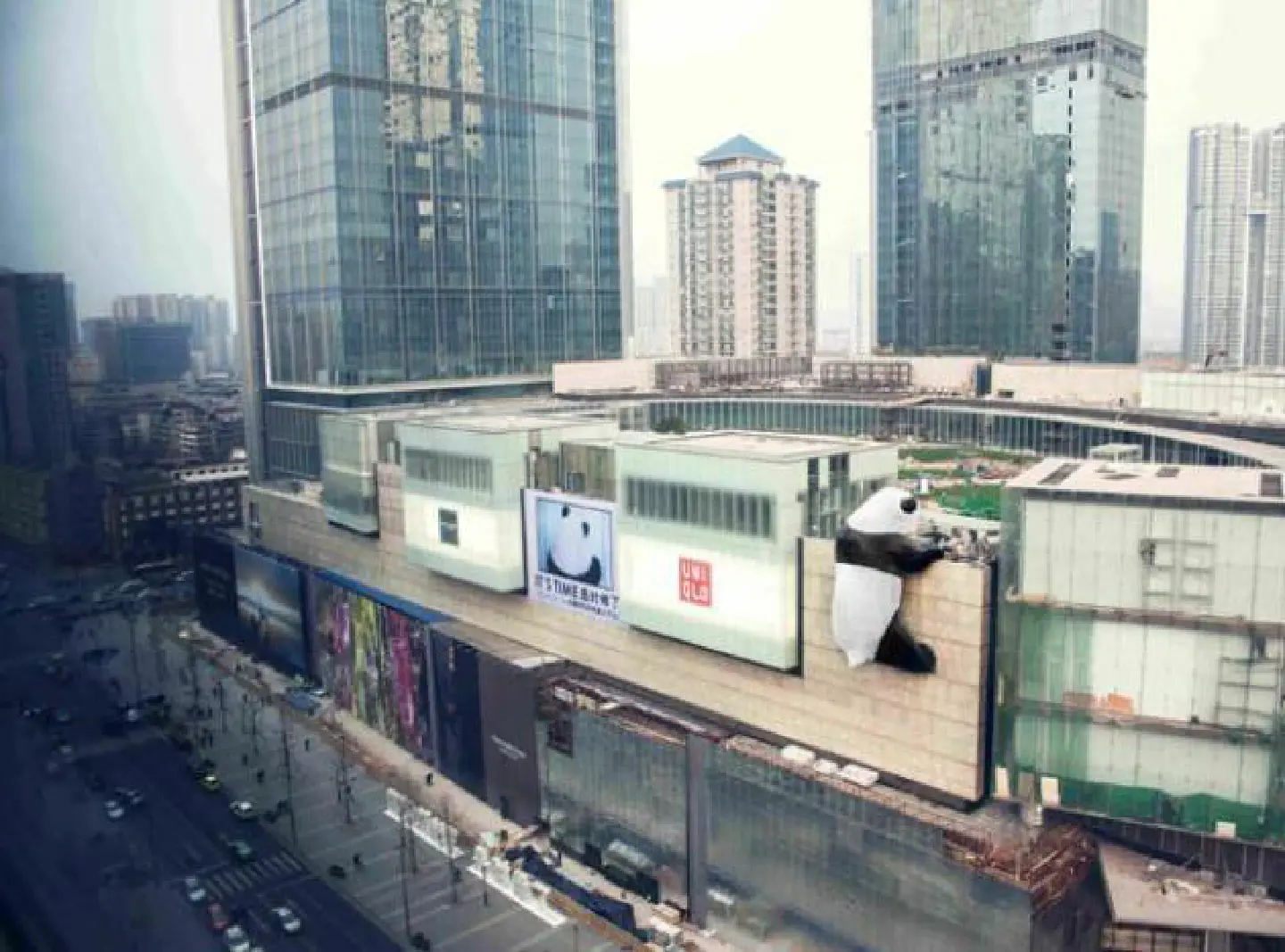 A panda on the wall A panda on the wall