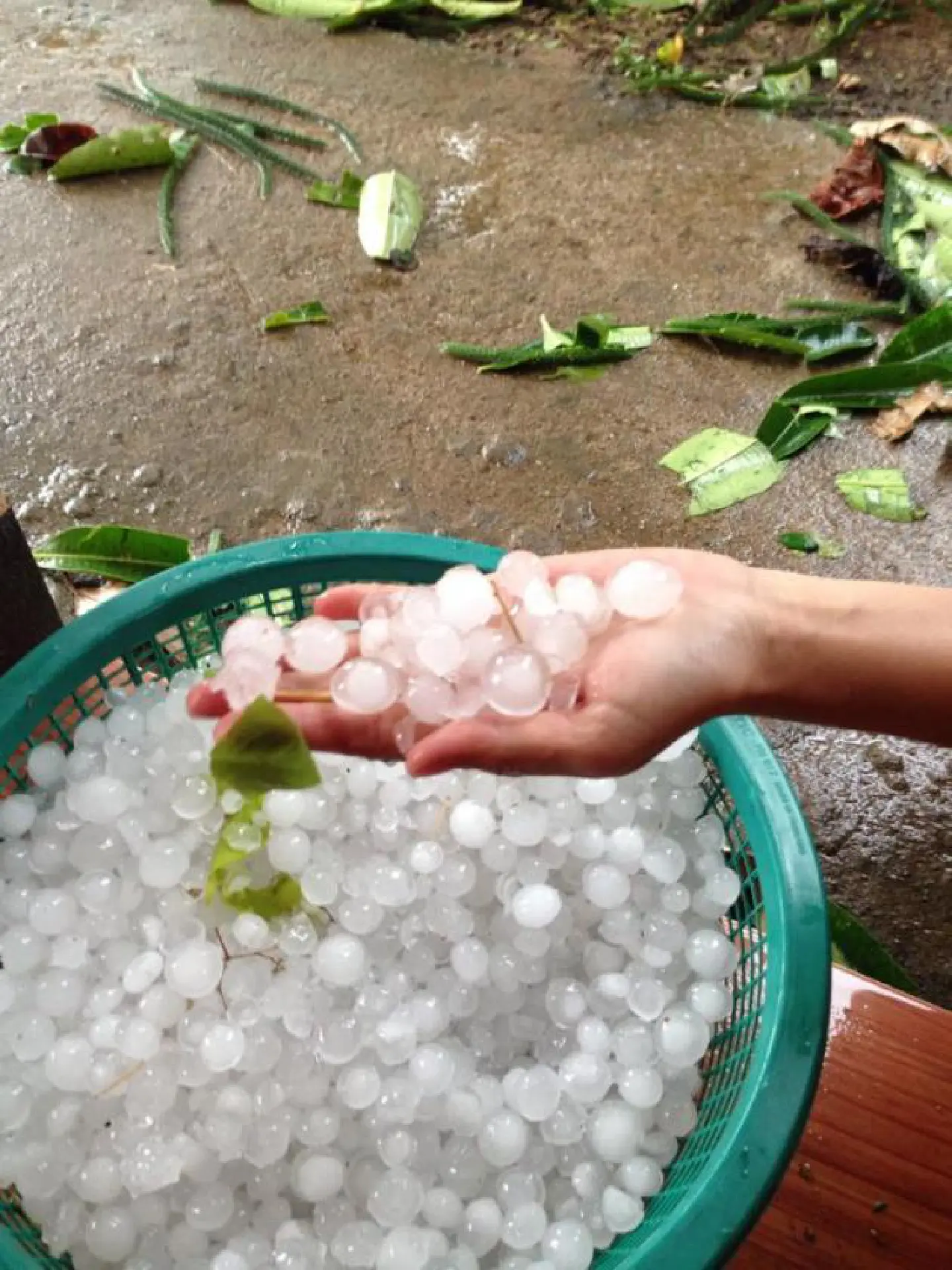 Hailstorm havoc in Lampang