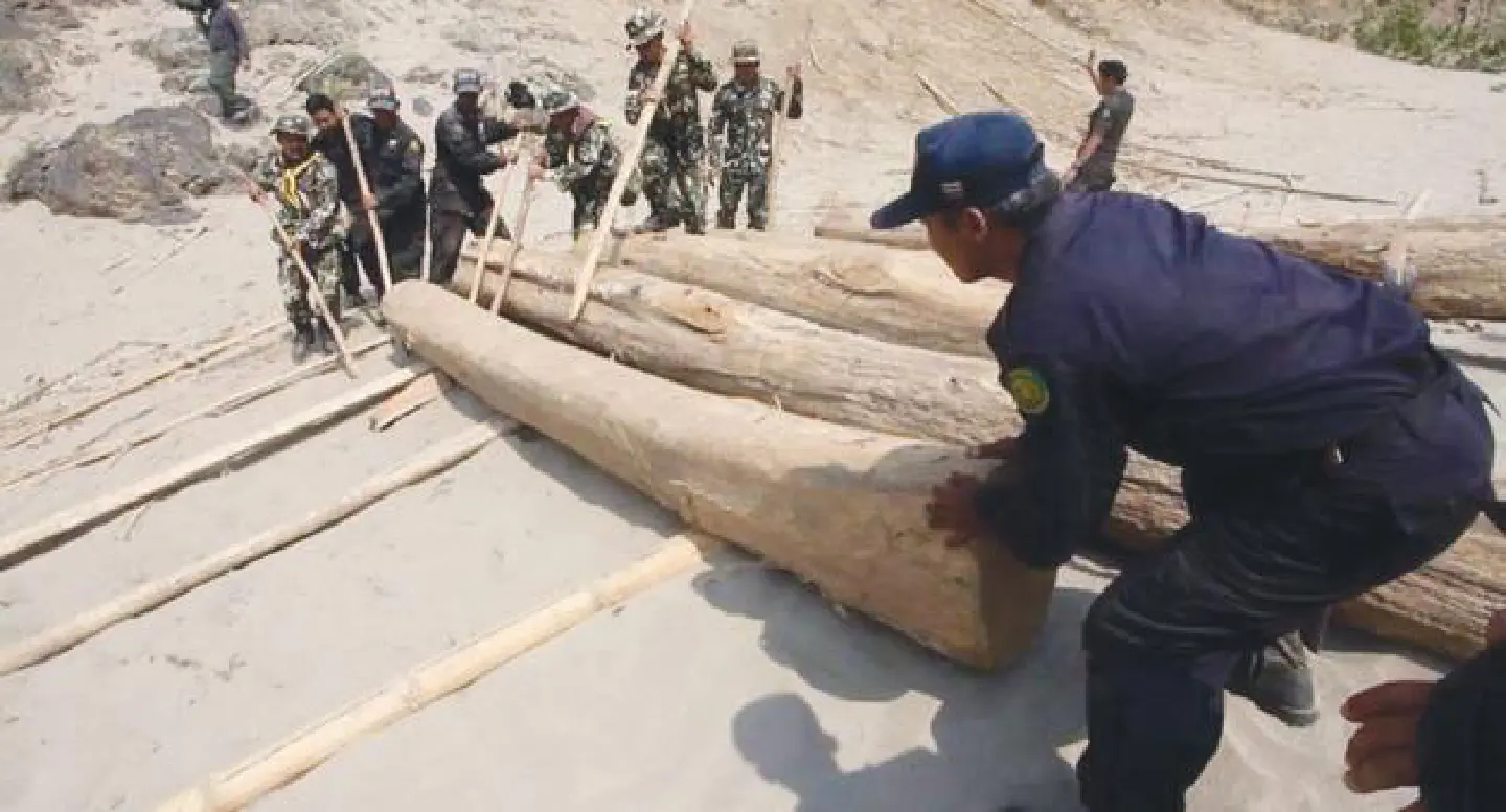 Govt wants help to save Salween forest
