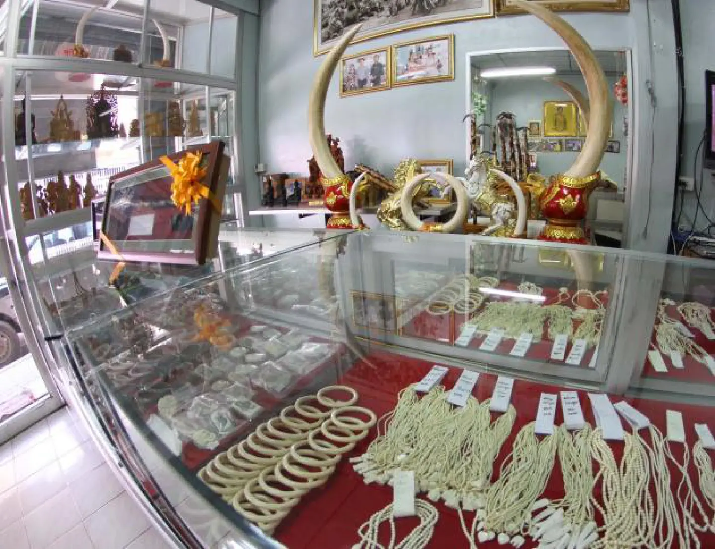 'Horrific' rise in ivory trade 'Horrific' rise in ivory trade