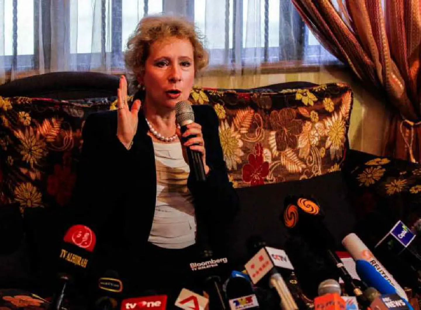 Rebels have no military system to take down aircraft : Russian ambassador Rebels have no military system to take down aircraft : Russian ambassador