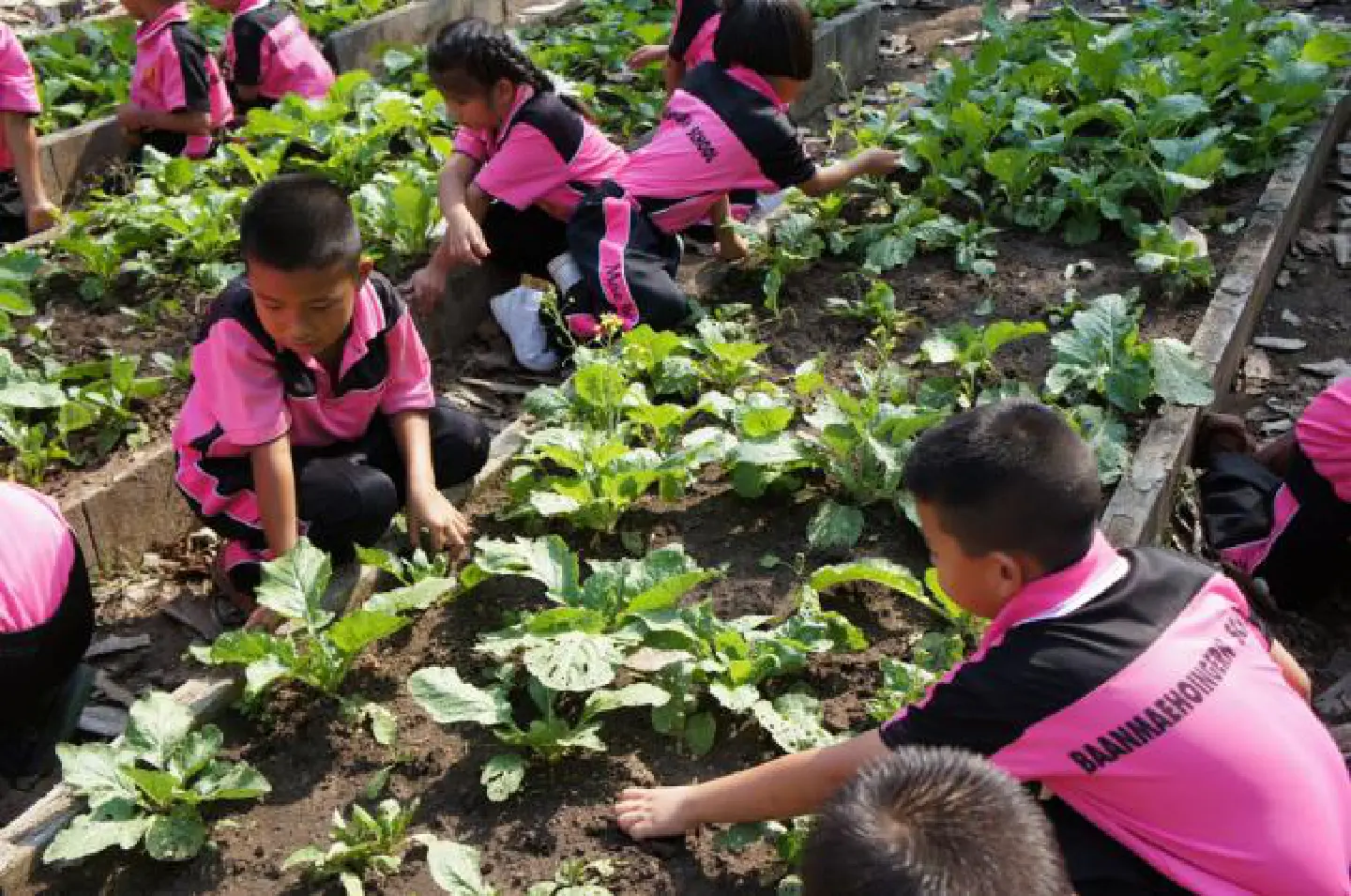 Sansiri looks to the nation's children