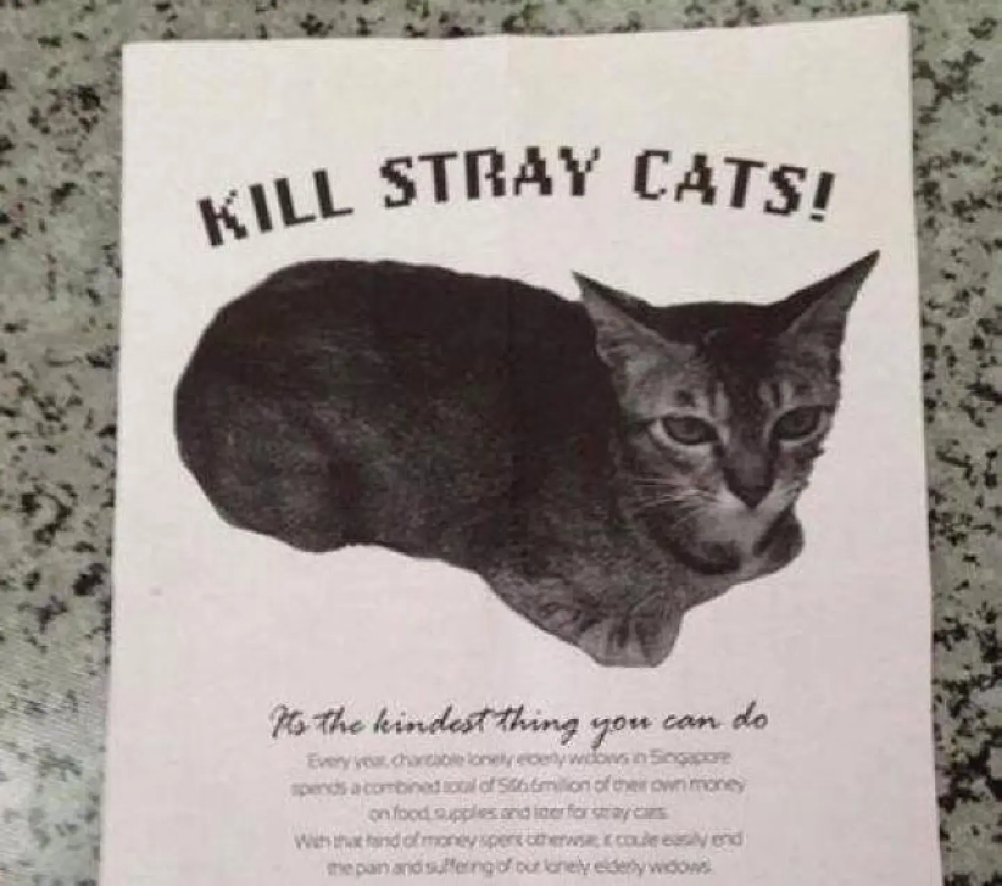 Singapore art collective defends "kill stray cats" flyer Singapore art collective defends "kill stray cats" flyer