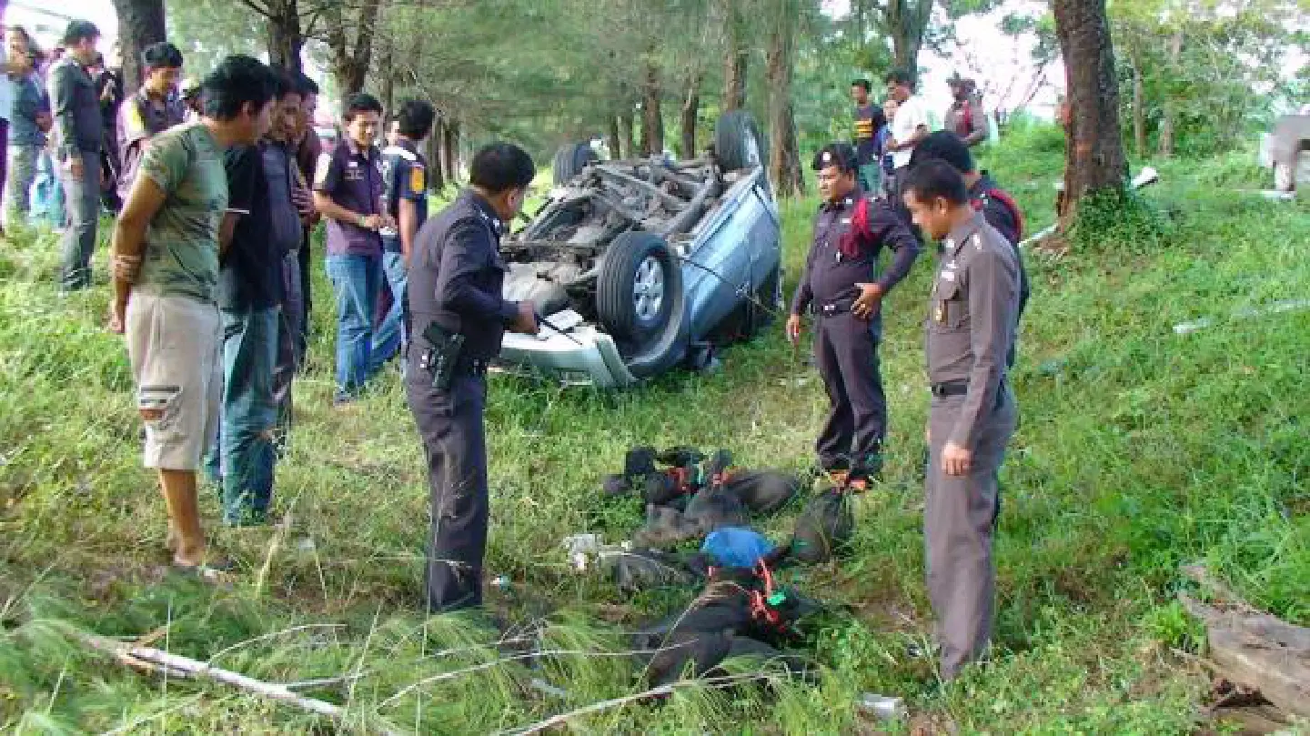 Truck full of pangolins crashes Truck full of pangolins crashes