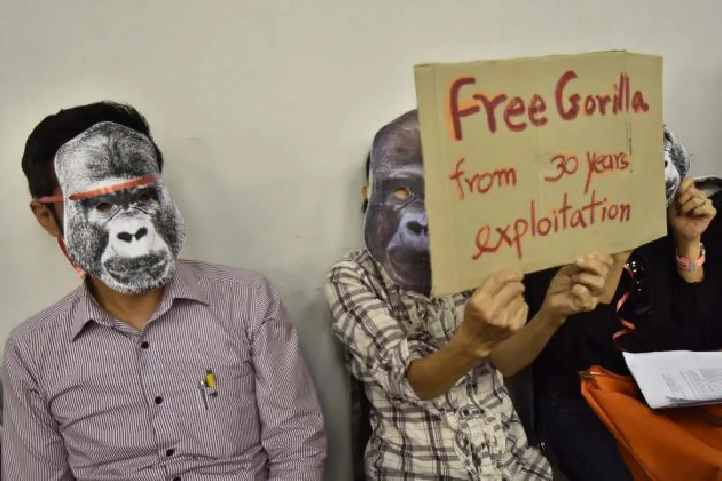 Pata Zoo fights efforts to move Bua Noi Pata Zoo fights efforts to move Bua Noi