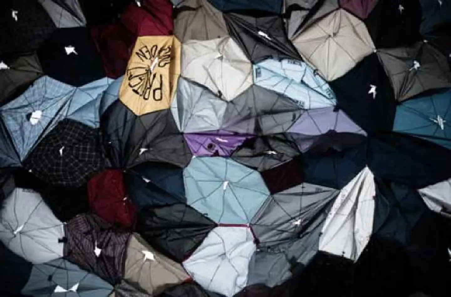 Saving the Umbrella Movement's art