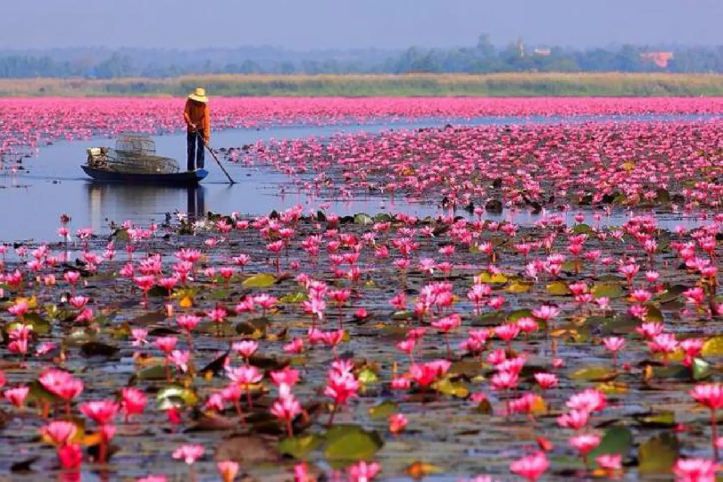 To Laos, by way of Isaan