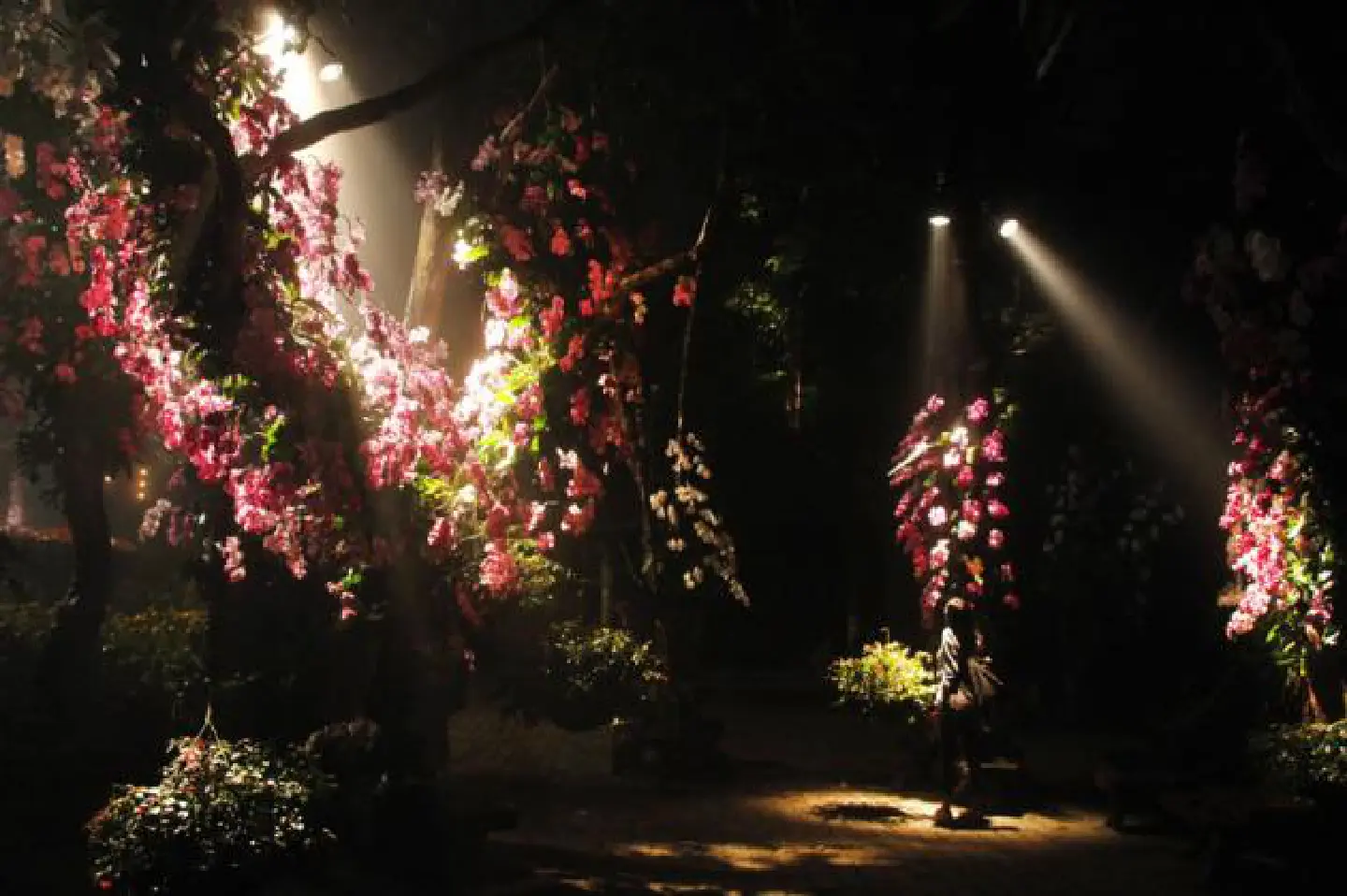 Colours of the mountain