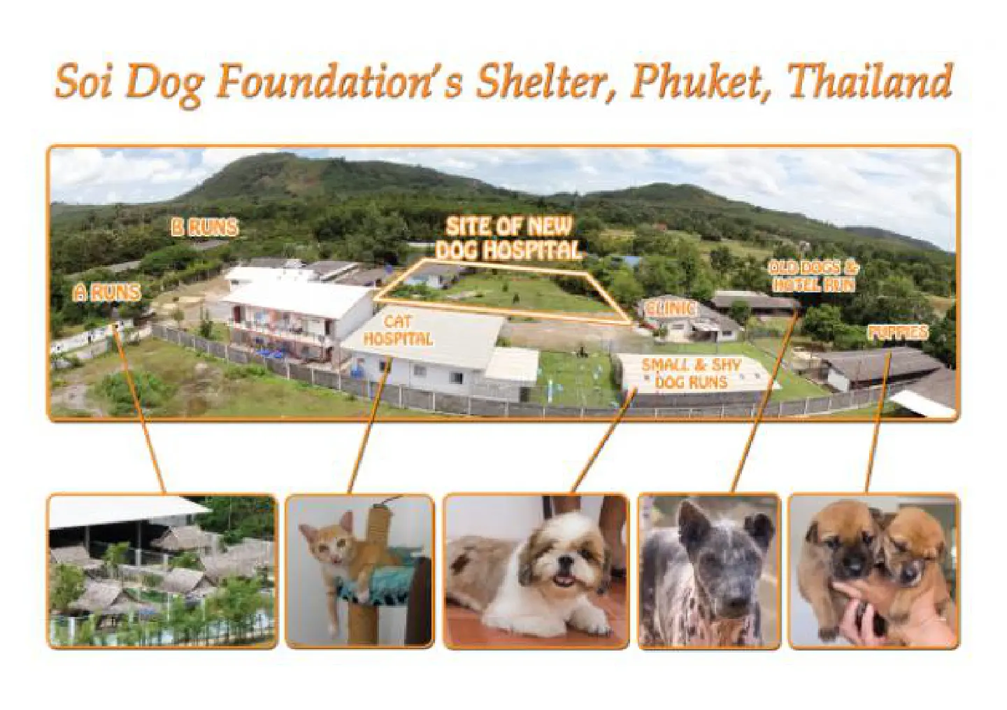 Soi Dog Foundation launches funding appeal to build new state-of-the-art animal hospital in Phuket