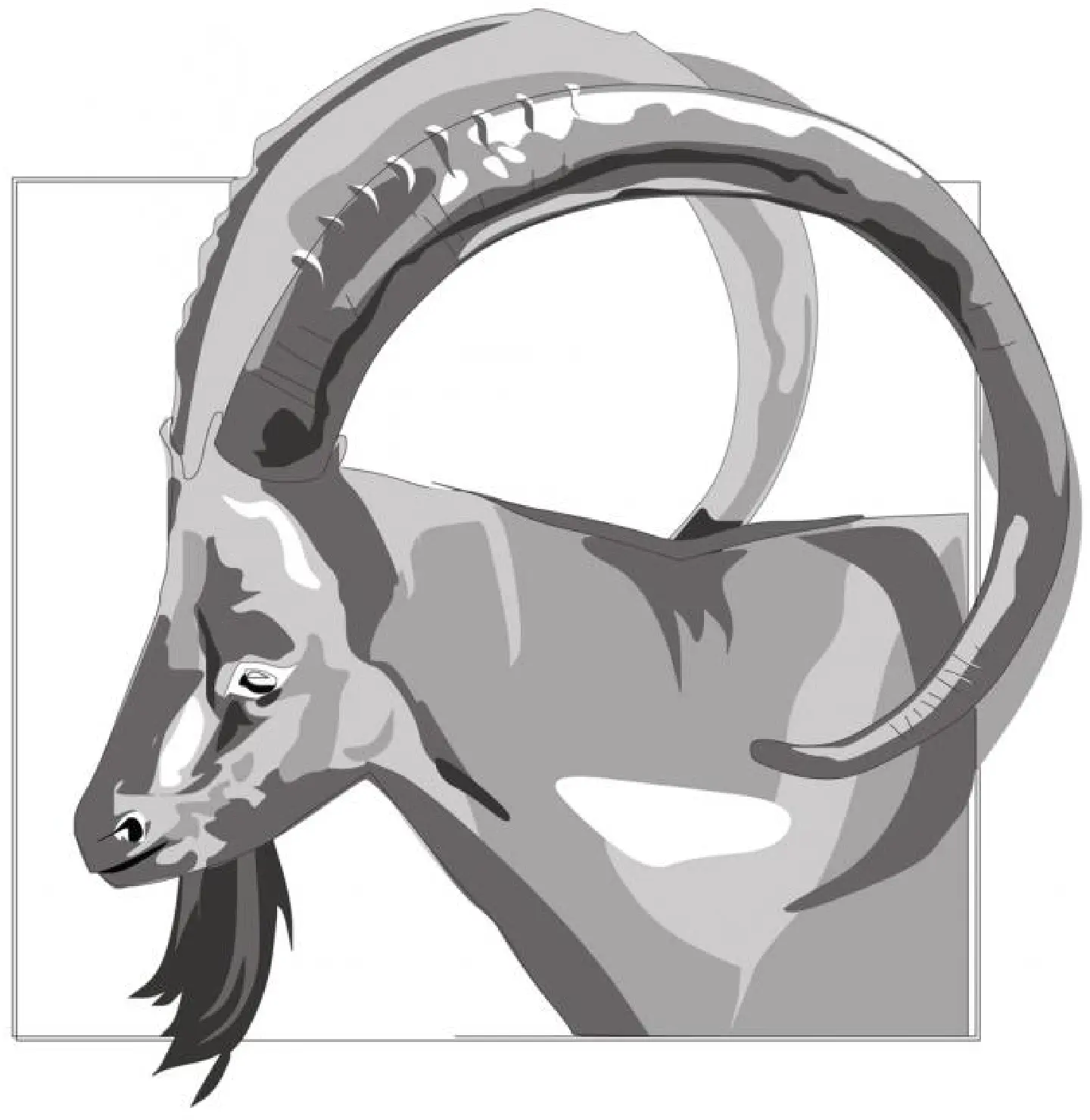 Grab this year by The Horns Grab this year by The Horns