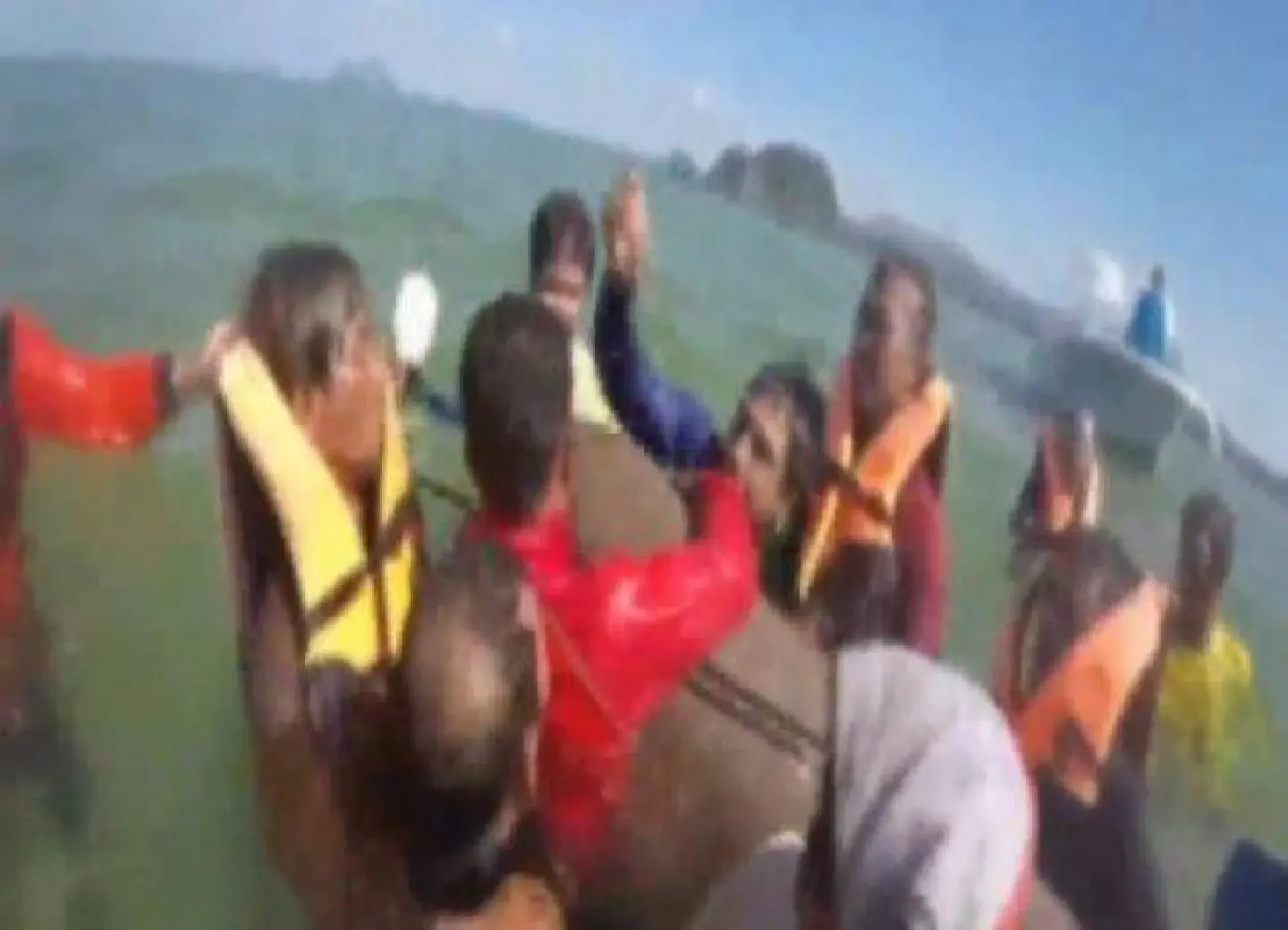 Microchips to be removed from three dugongs off Trang Microchips to be removed from three dugongs off Trang
