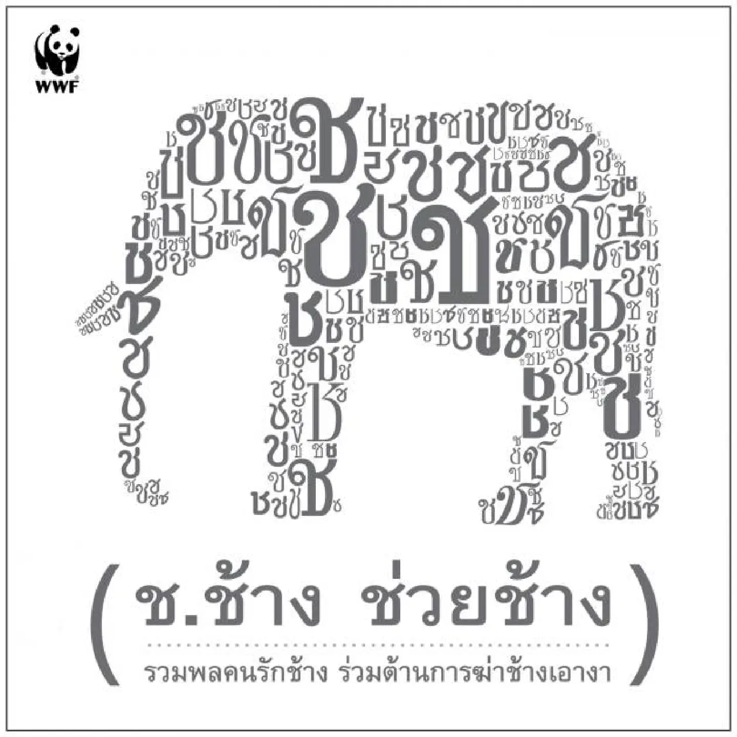 WWF launches Thai campaign to save elephants WWF launches Thai campaign to save elephants