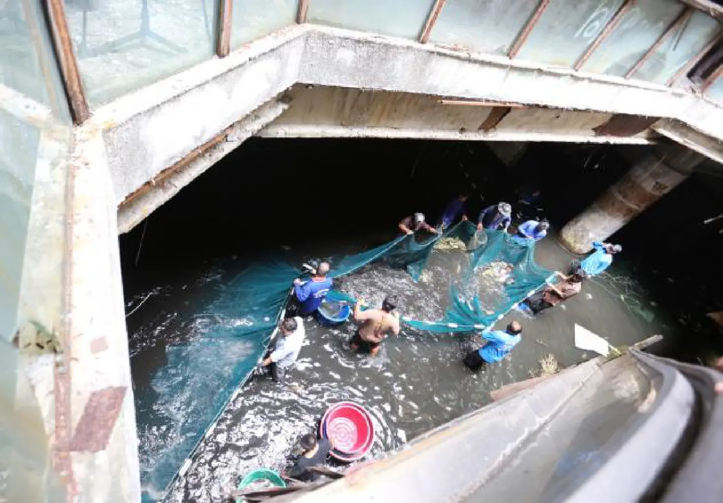 Fish being moved from abandoned department store in Bang Lamphu