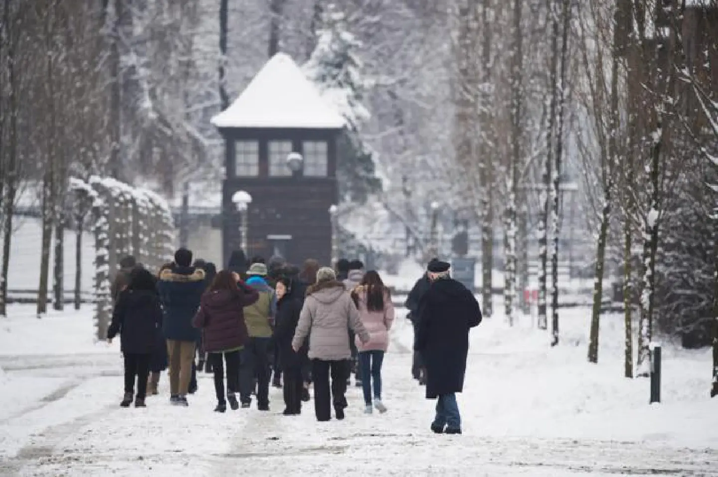 Auschwitz survivors relive atrocities Auschwitz survivors relive atrocities