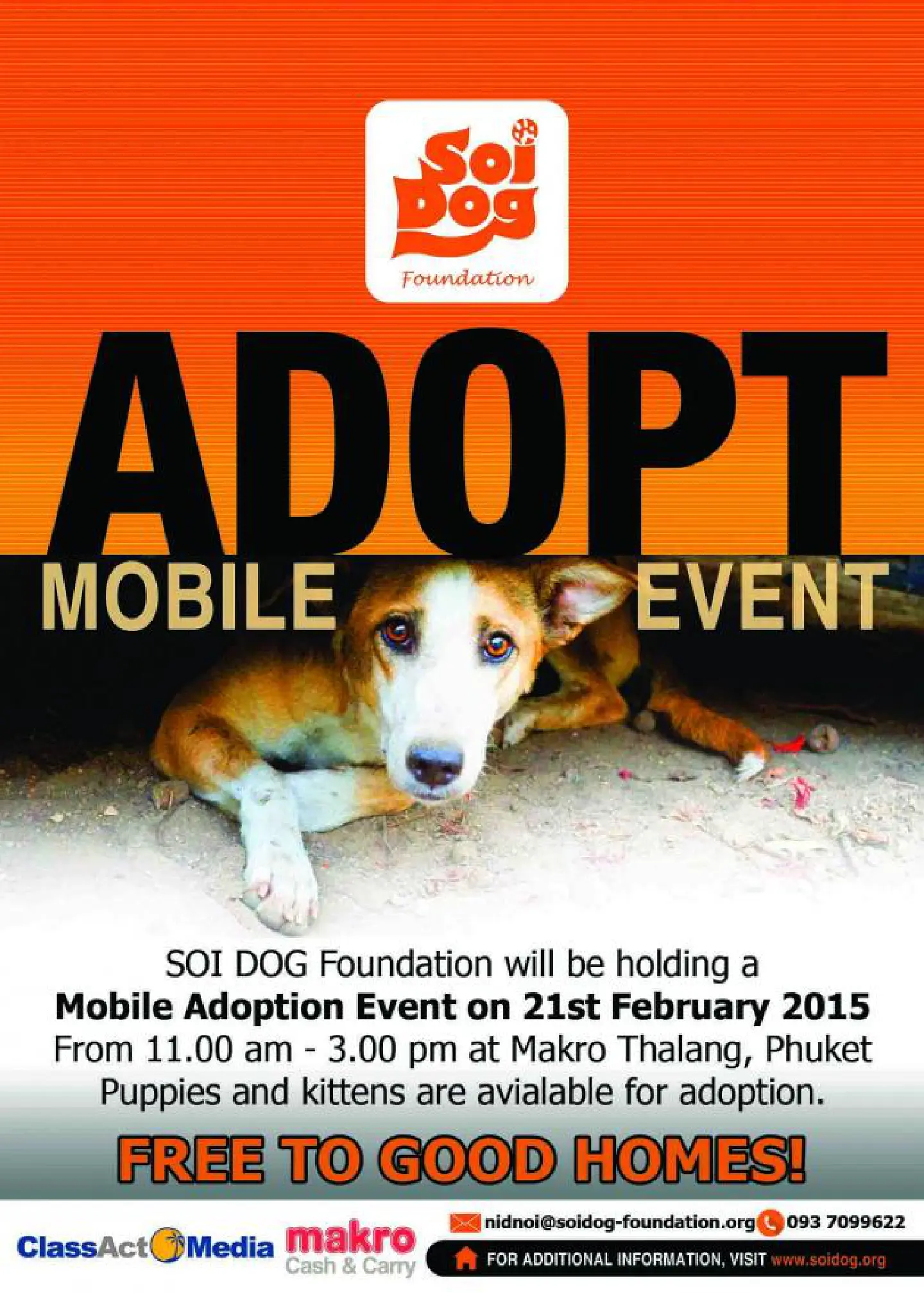 Soi Dog Foundation to hold fourth mobile adoption event in Phuket