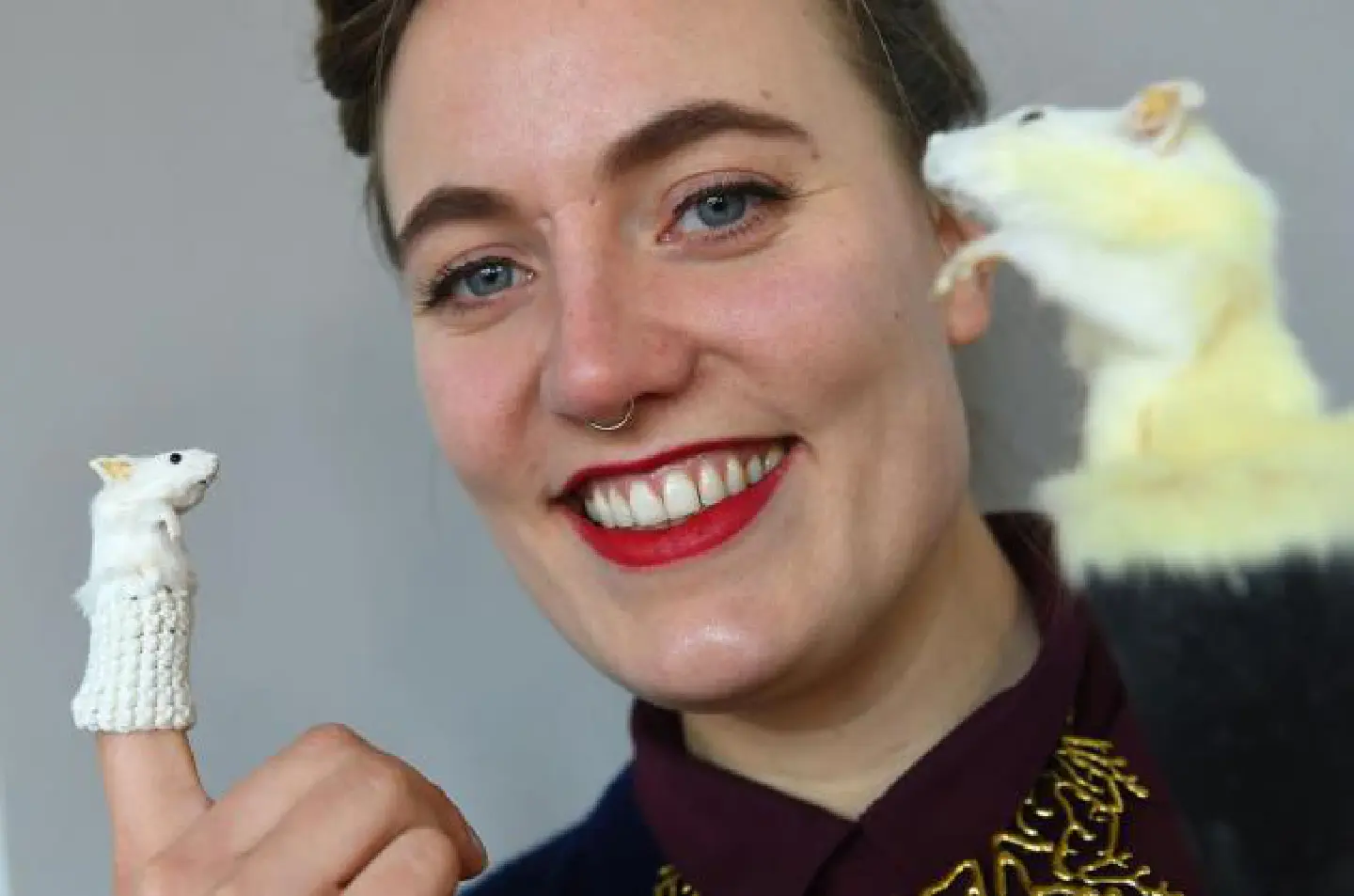 For birds and mice, fast-track reincarnation For birds and mice, fast-track reincarnation