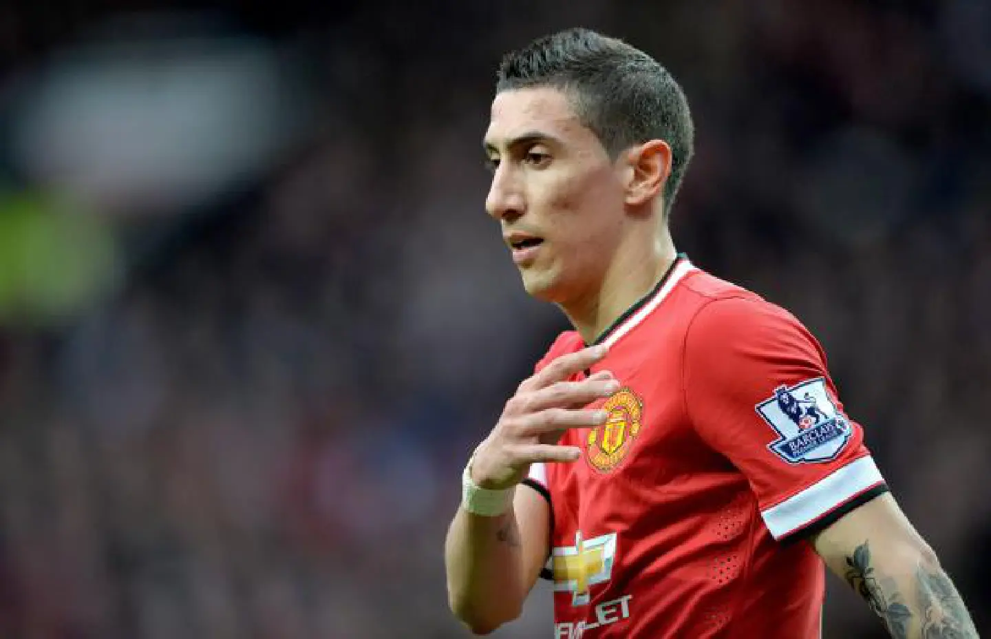 Football in a flutter |over an ugly duckling Football in a flutter |over an ugly duckling