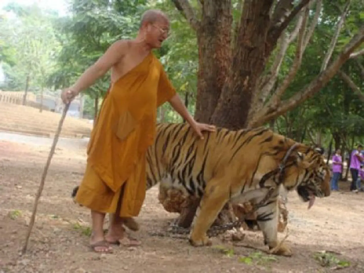 Temple disciples seek help