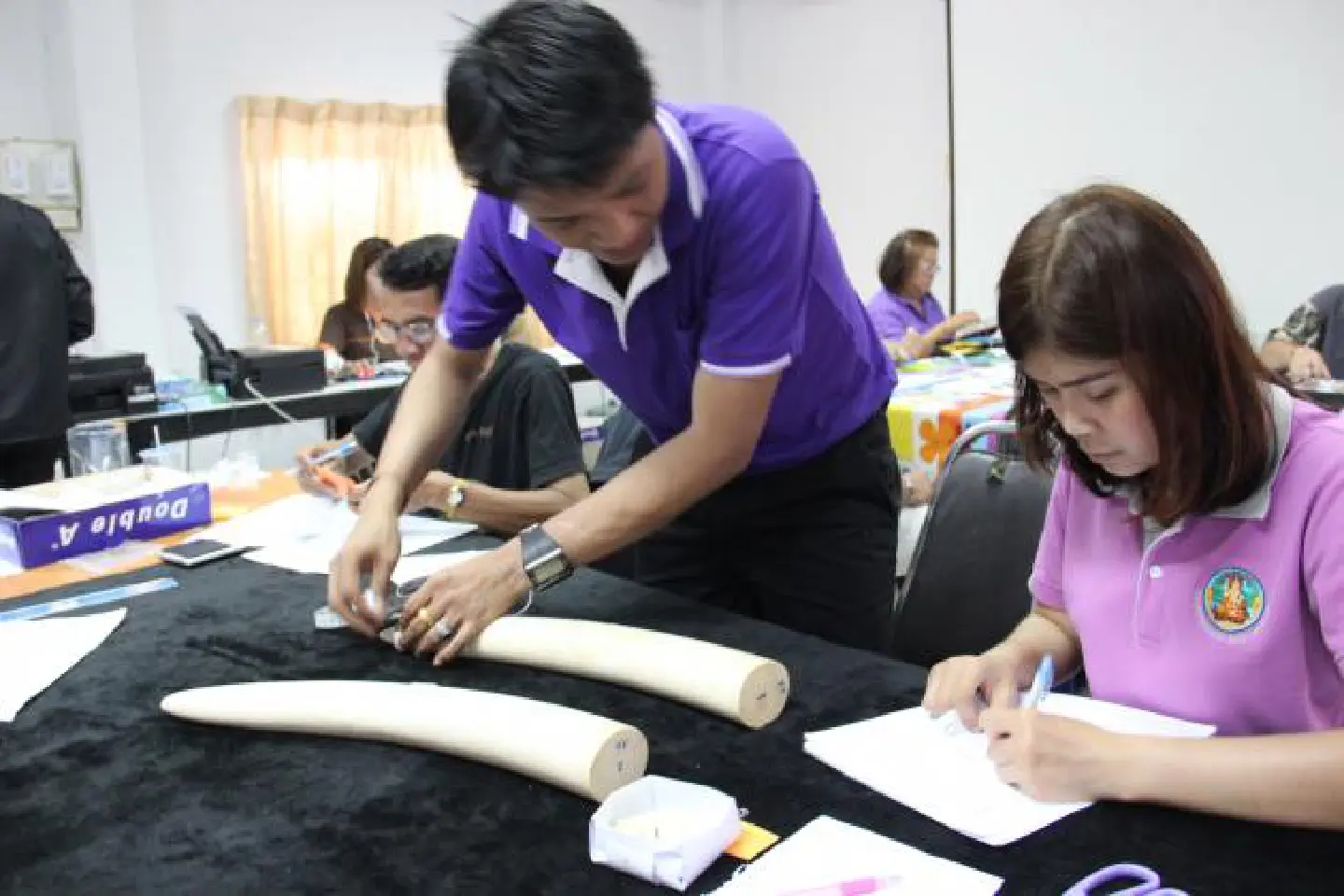 Citizens hotfoot to beat ivory registration deadline Citizens hotfoot to beat ivory registration deadline