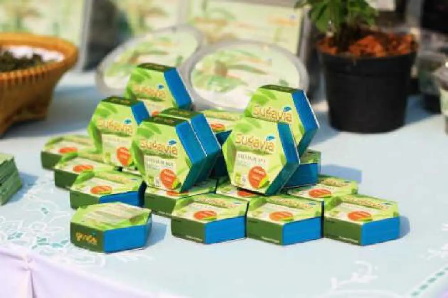 A new choice of substitute for sugar from stevia plant