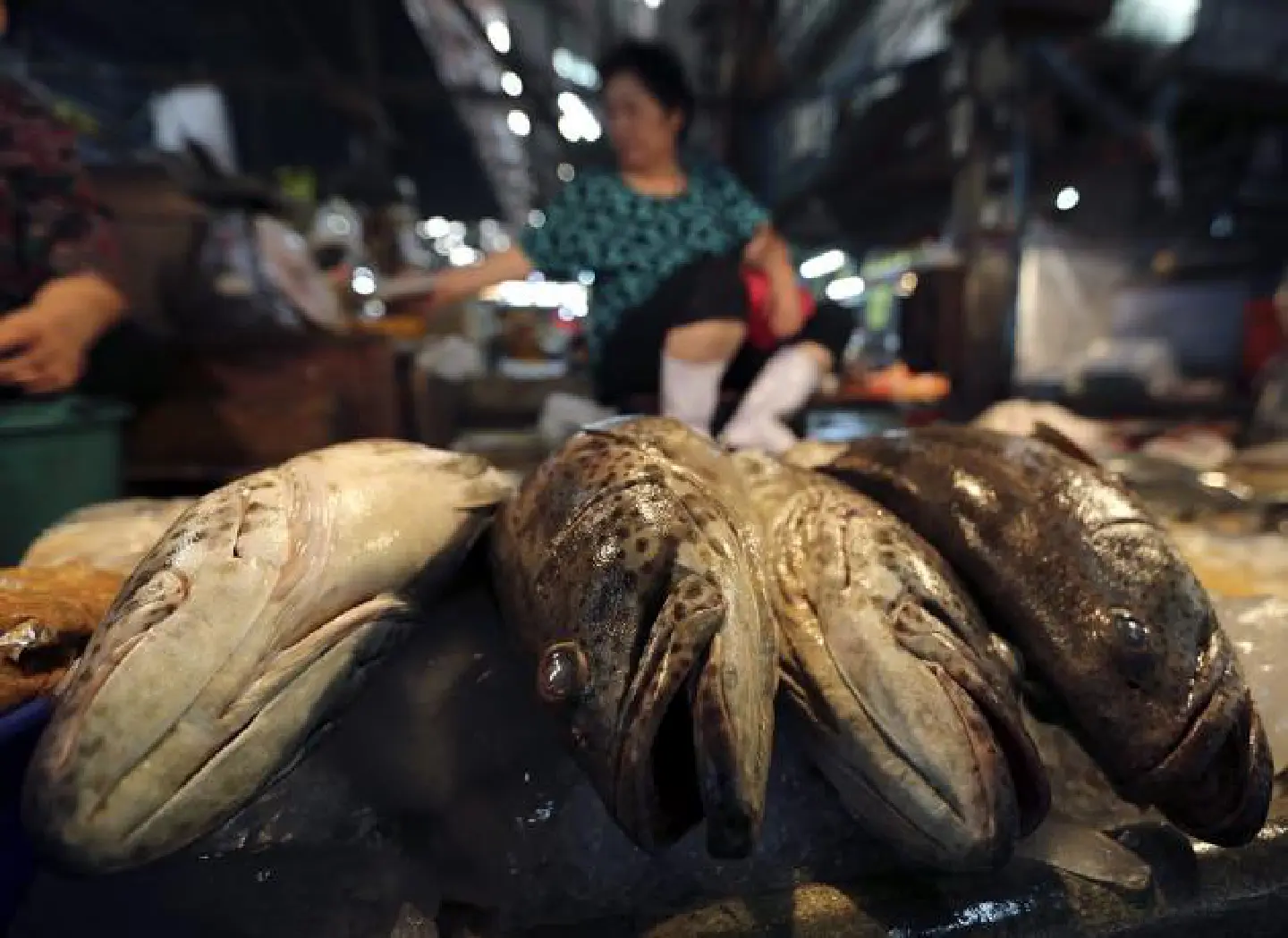 Exporters' wish for a weaker baht unlikely to be fulfilled Exporters' wish for a weaker baht unlikely to be fulfilled