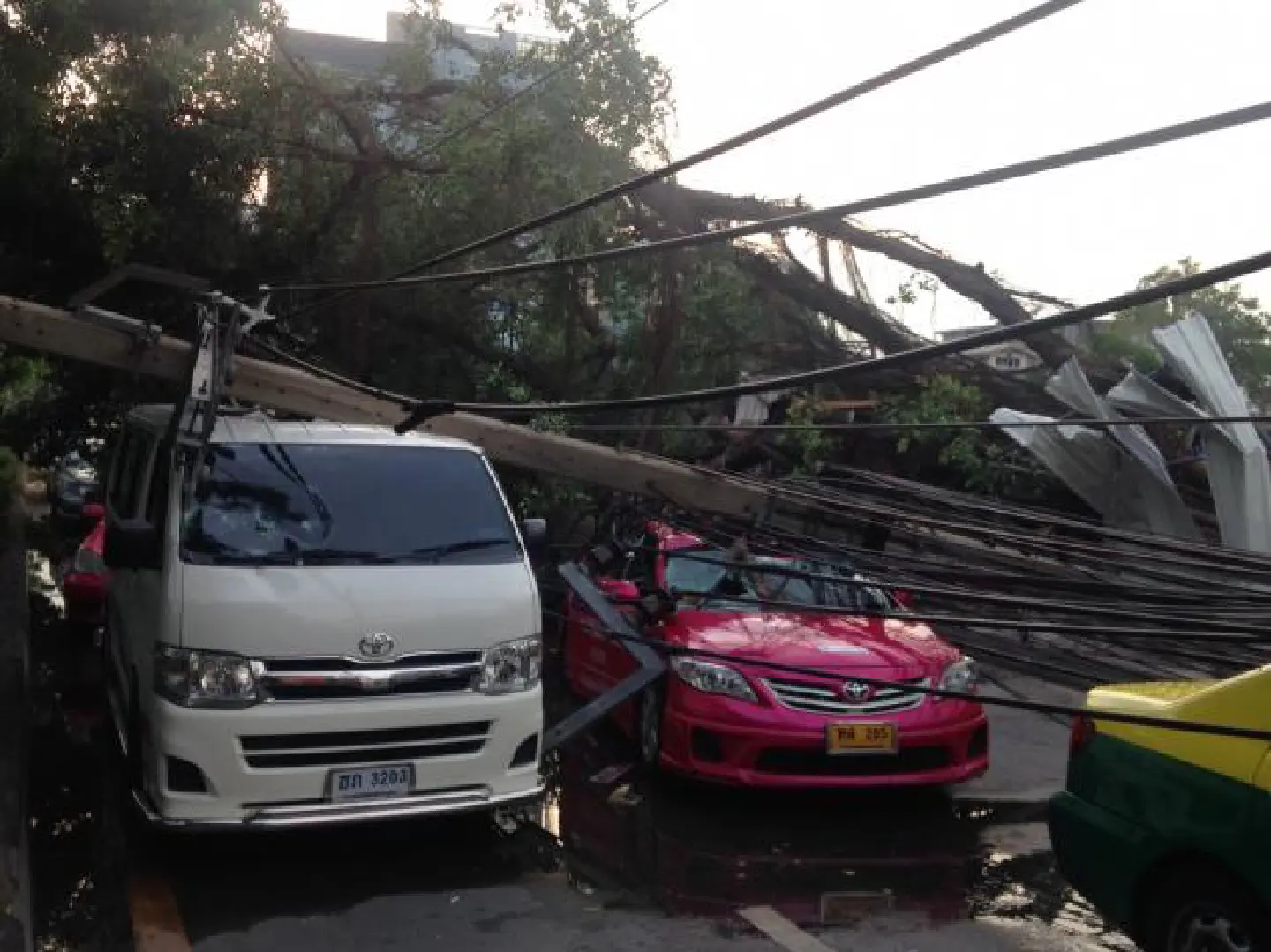 Trees block Sarasin Road after storm Trees block Sarasin Road after storm