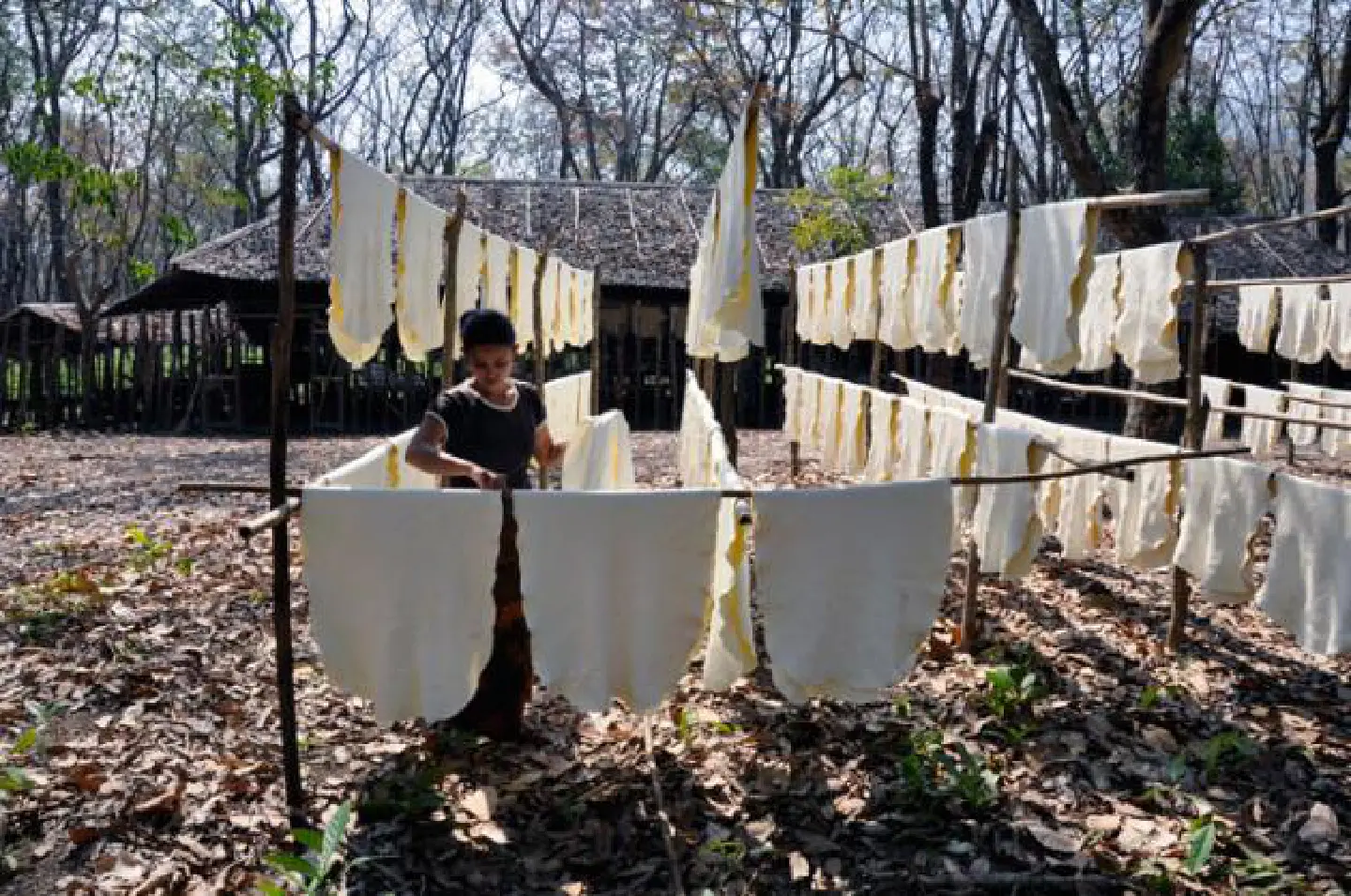 Rubber price at year high Rubber price at year high