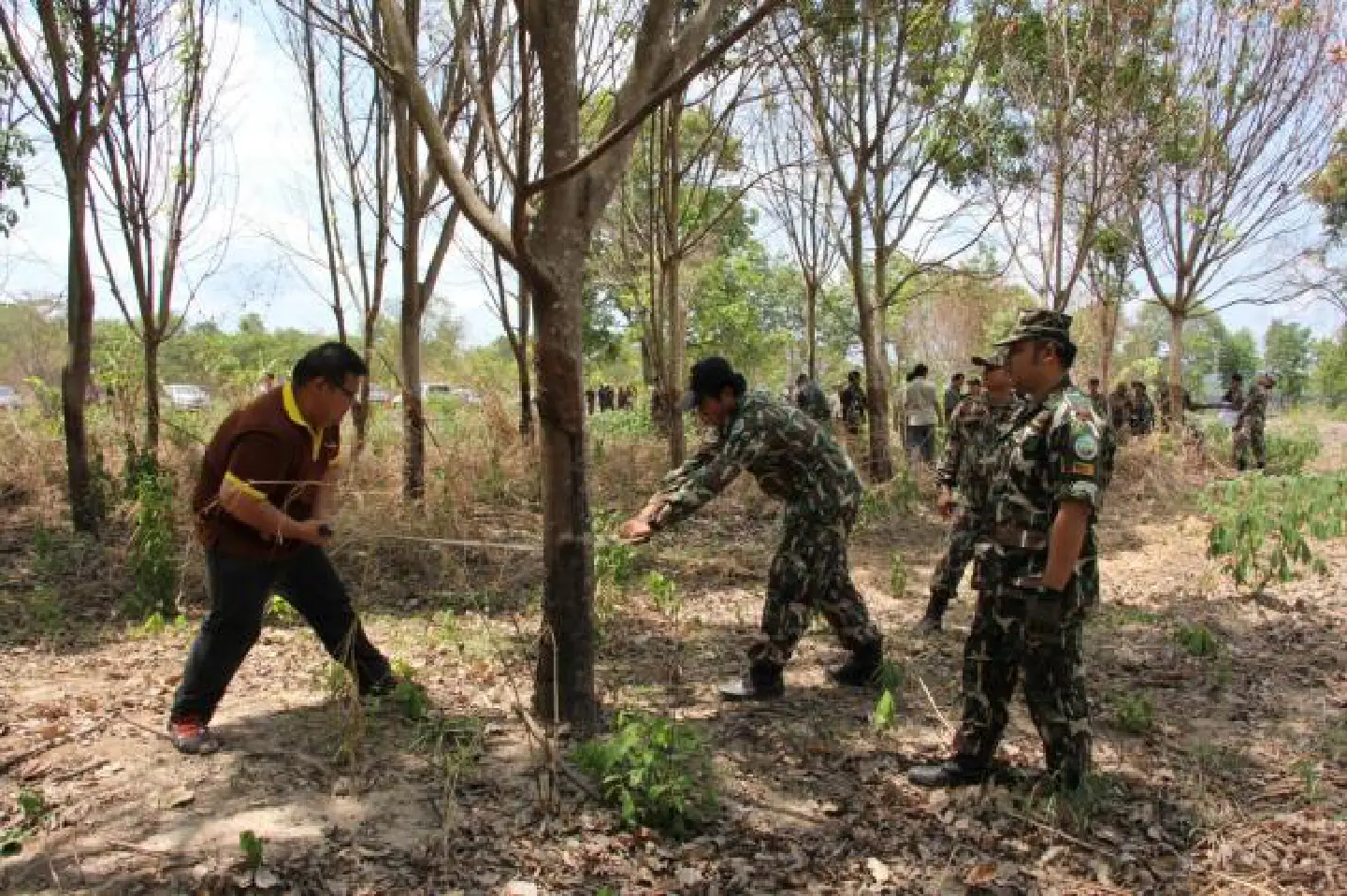 Forest reclamation causing grief Forest reclamation causing grief