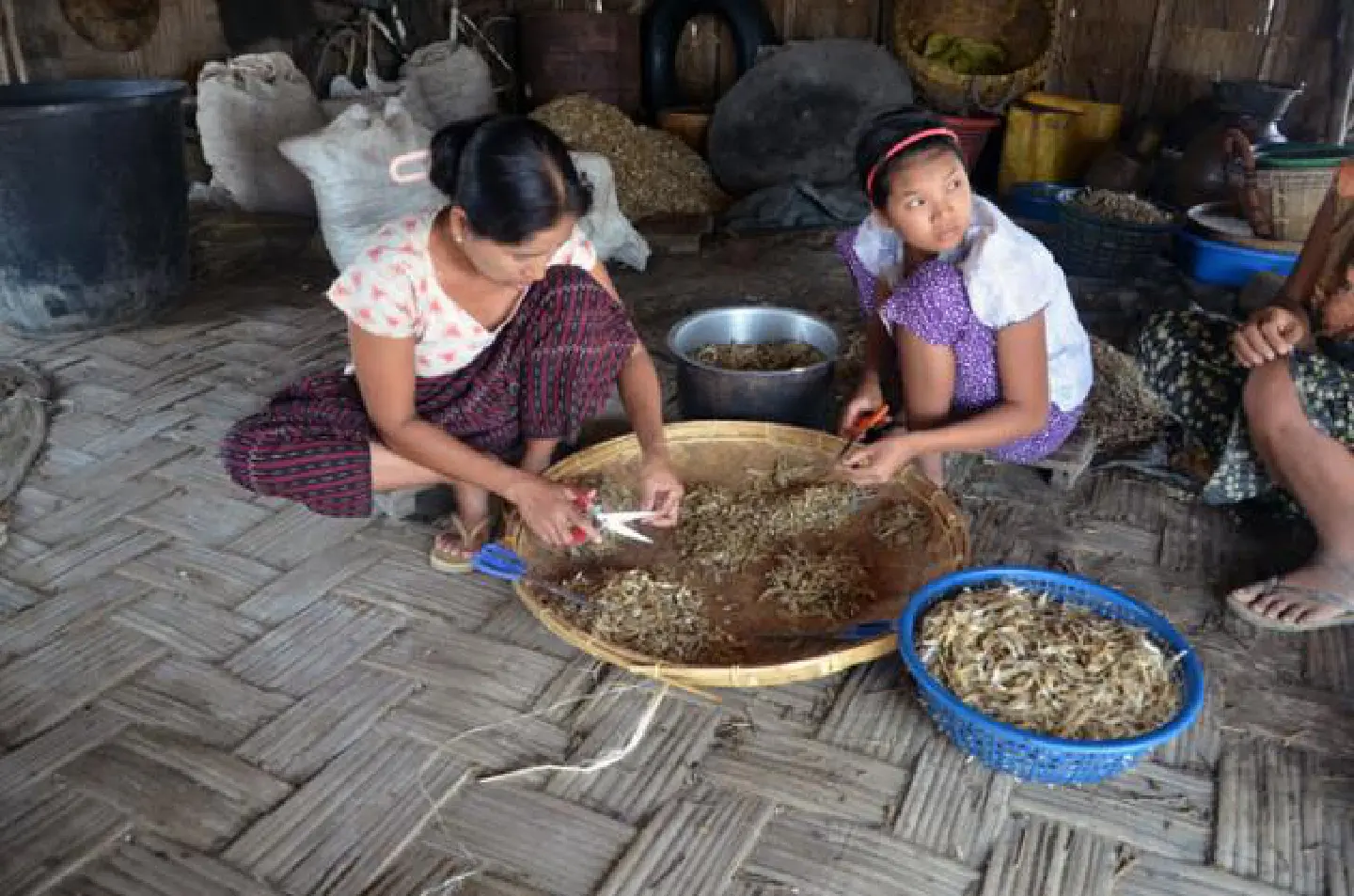 Govt claims credit for microfinance boom Govt claims credit for microfinance boom