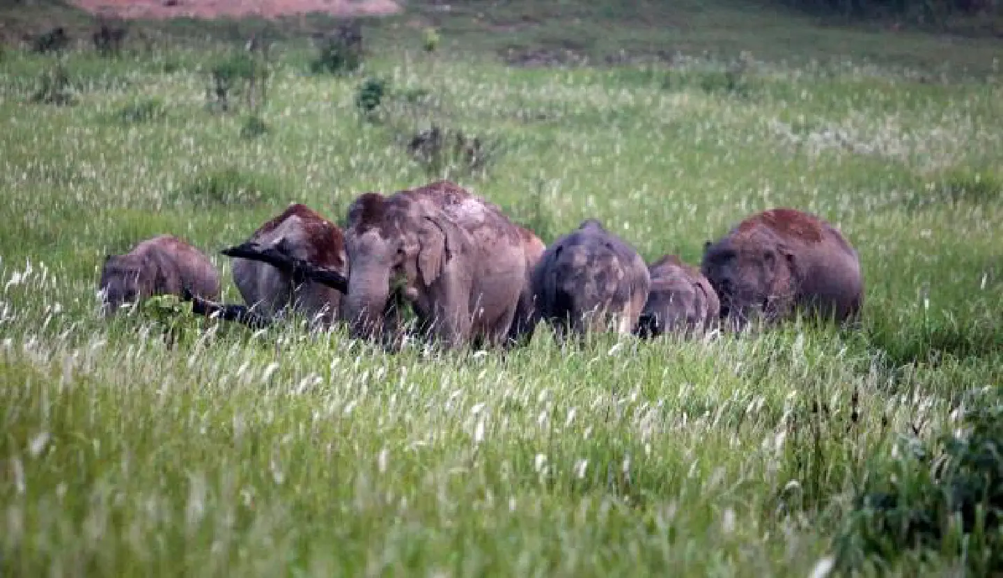 Thailand continues fight to keep two sites' status Thailand continues fight to keep two sites' status