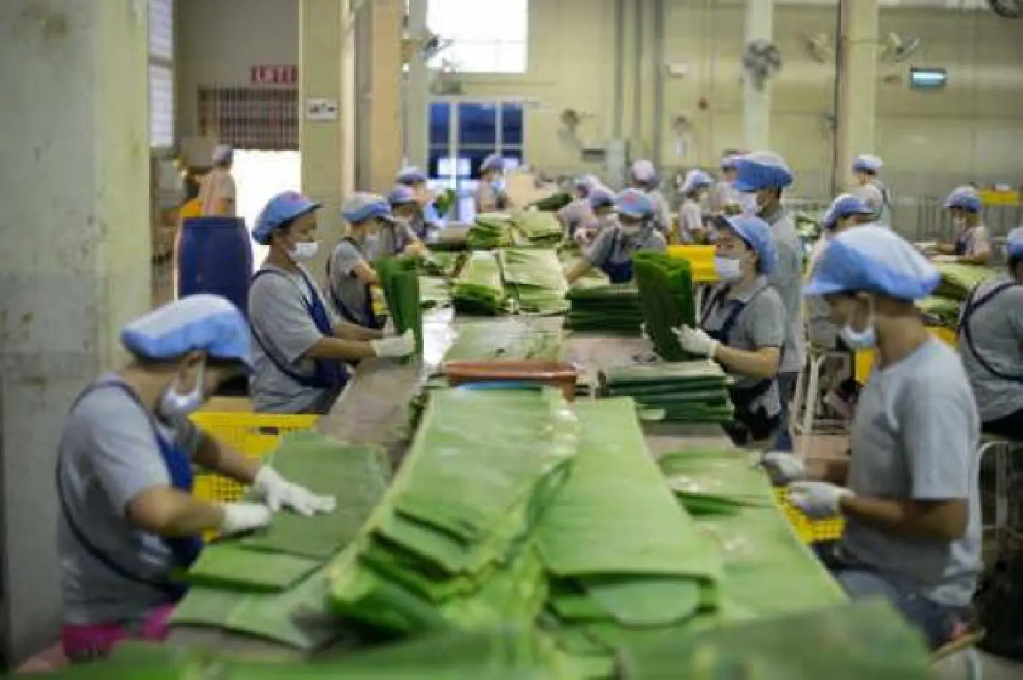 Ocha Food Pack looks to production of value-added frozen, dried foods Ocha Food Pack looks to production of value-added frozen, dried foods