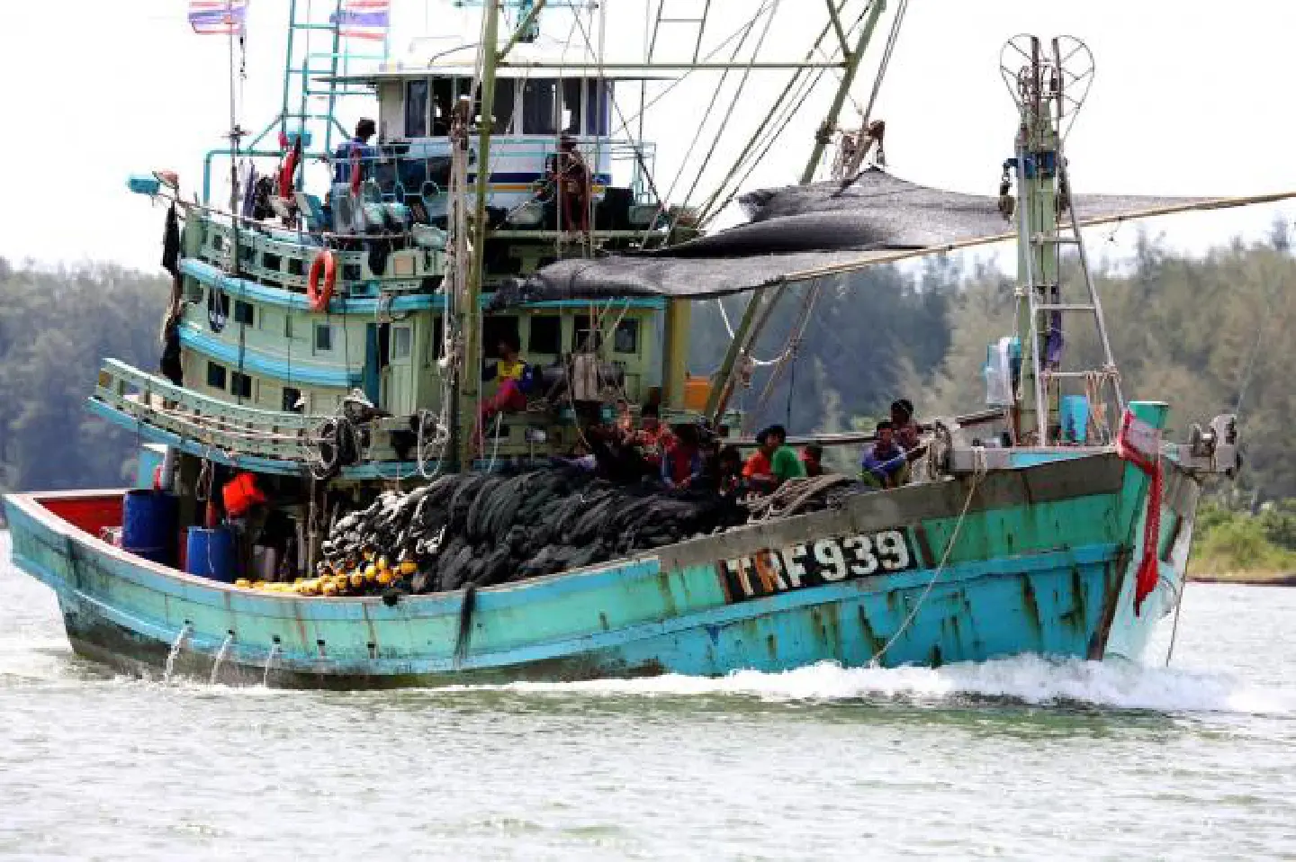 Poll shows most community leaders support illegal fishing crackdown Poll shows most community leaders support illegal fishing crackdown