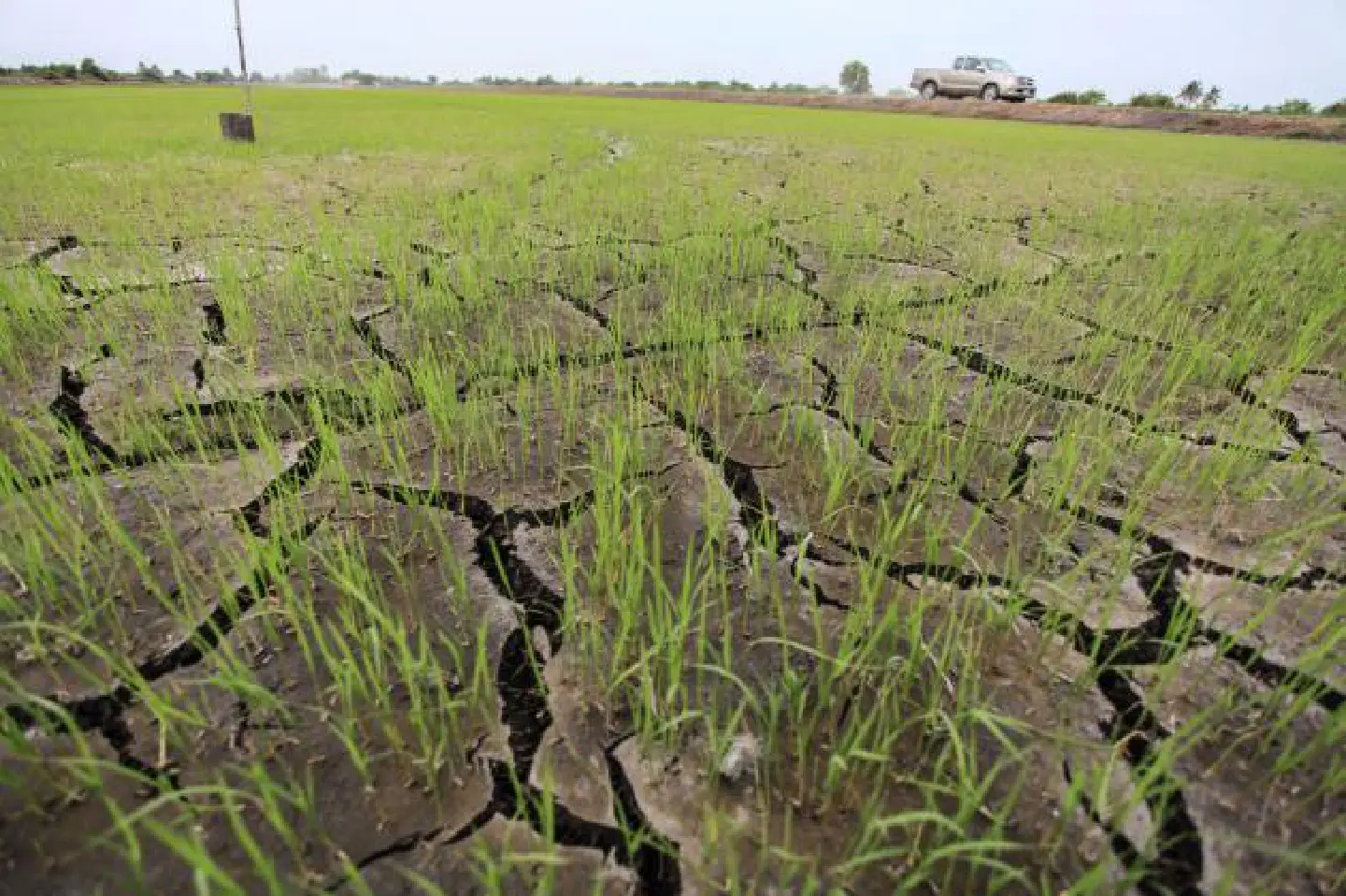 As dams cut water release, promise of rain next month As dams cut water release, promise of rain next month