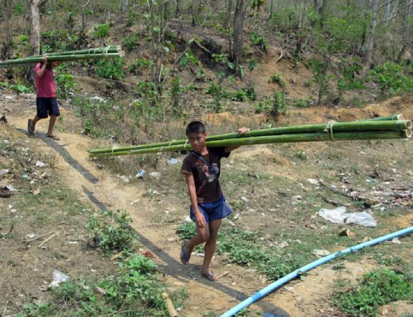 New verification system for refugees in Thailand New verification system for refugees in Thailand