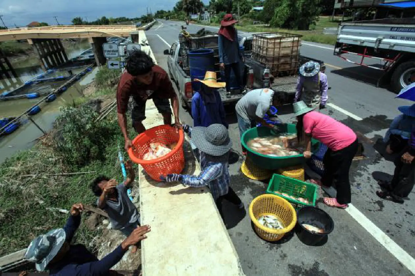 Govt urged to pay farmers