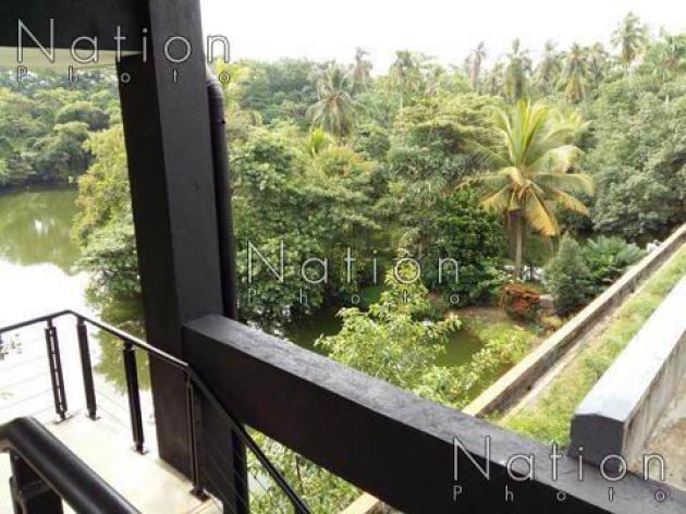 Firm strikes balance to make way for nature and humans Firm strikes balance to make way for nature and humans