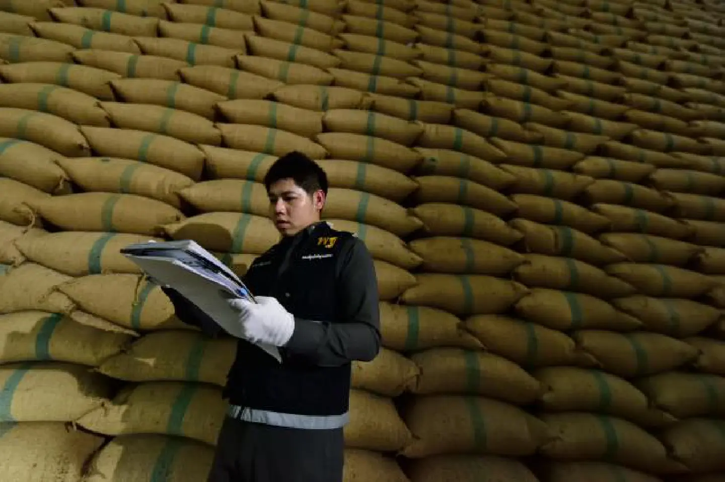 Pheu Thai accuses govt of  targeting Yingluck over rice scheme