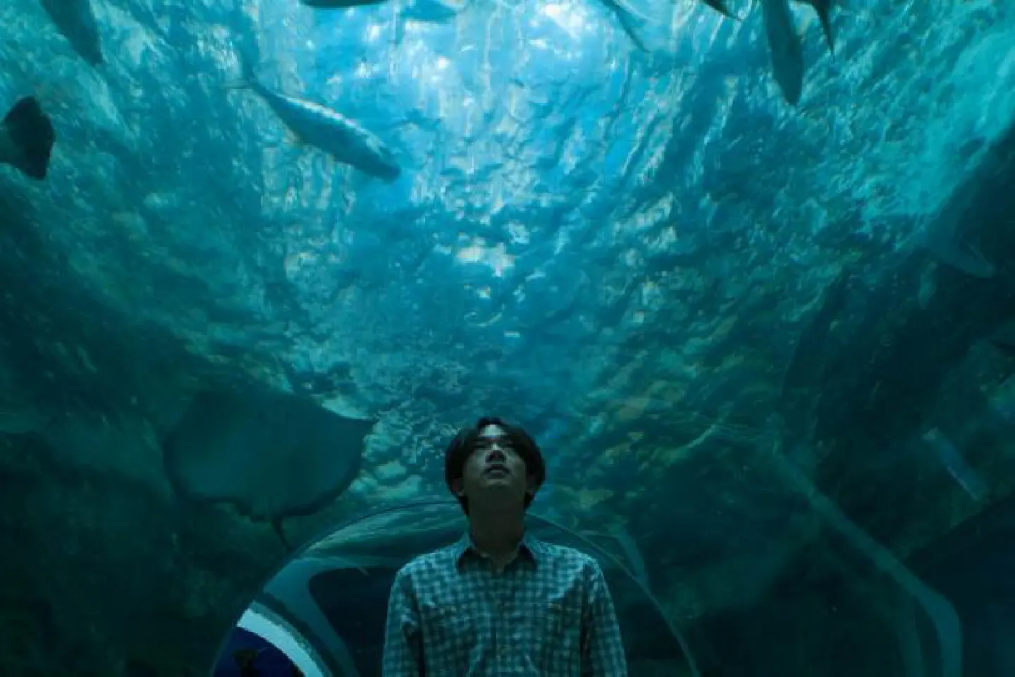 World films 'Snap' into place