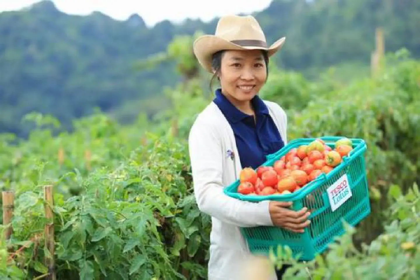 Direct sourcing a win-win deal for retail giant, farmers Direct sourcing a win-win deal for retail giant, farmers