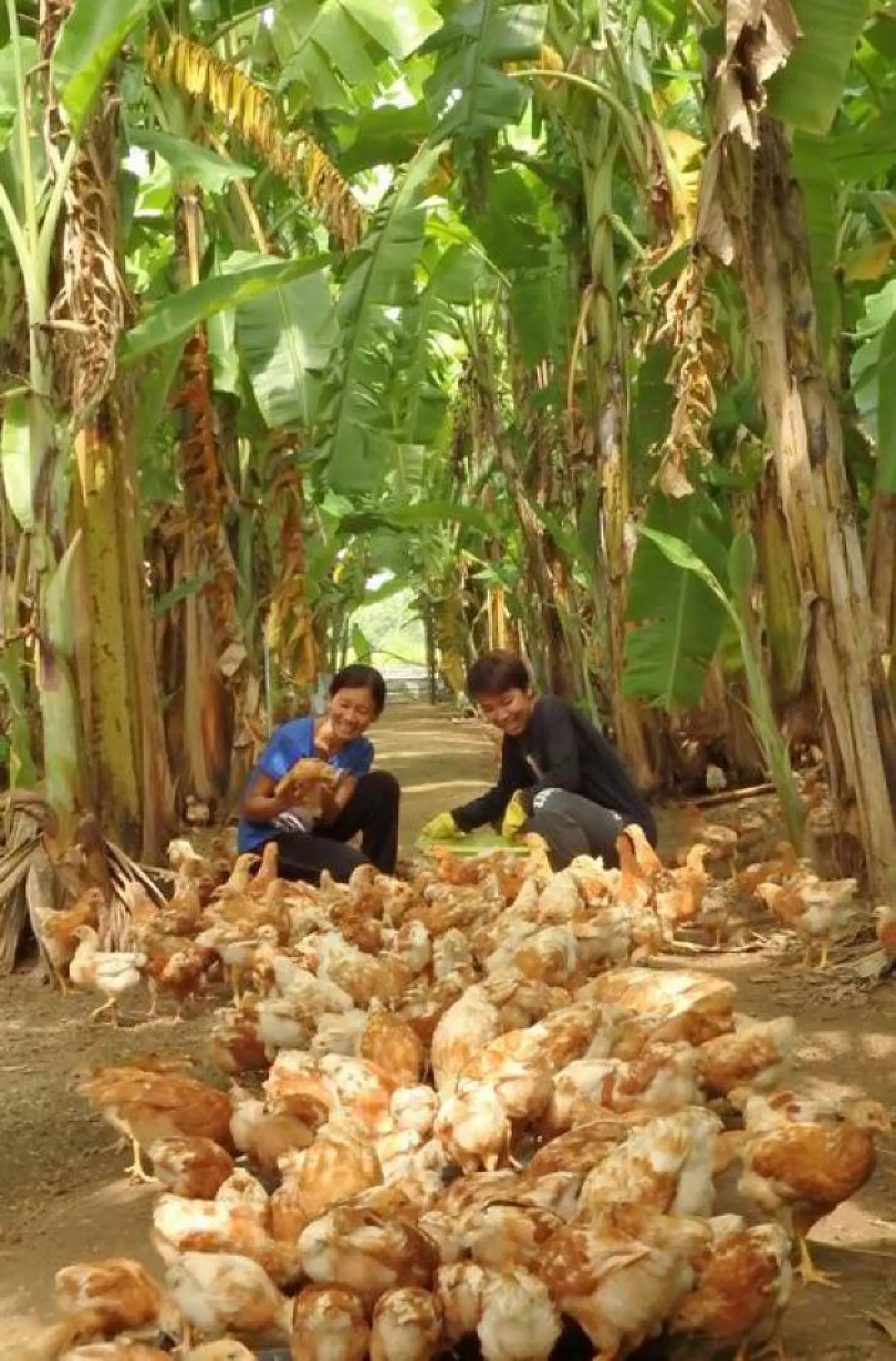 Bliss Foundation rolls out organic initiative