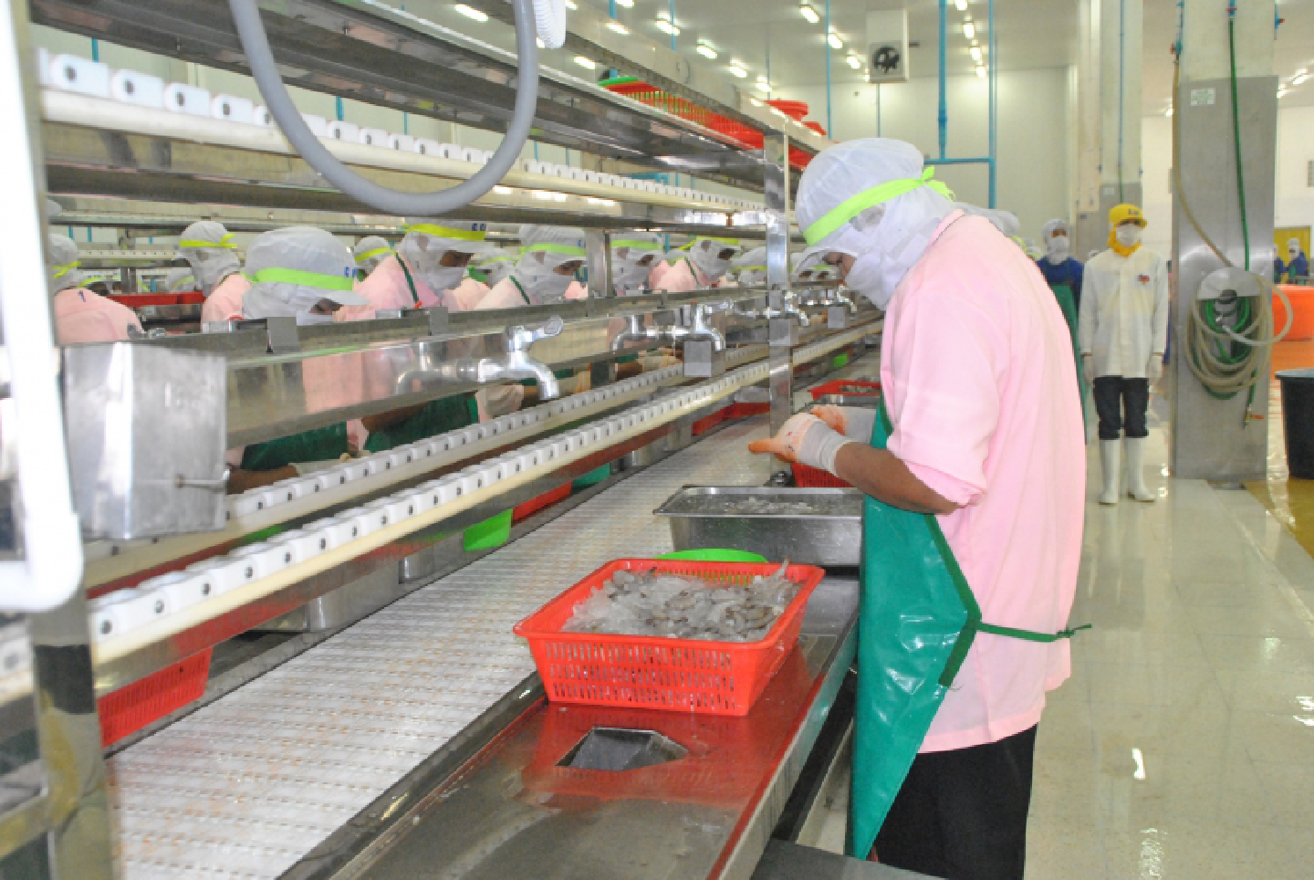 Seafood sector plans to reel back lost jobs Seafood sector plans to reel back lost jobs