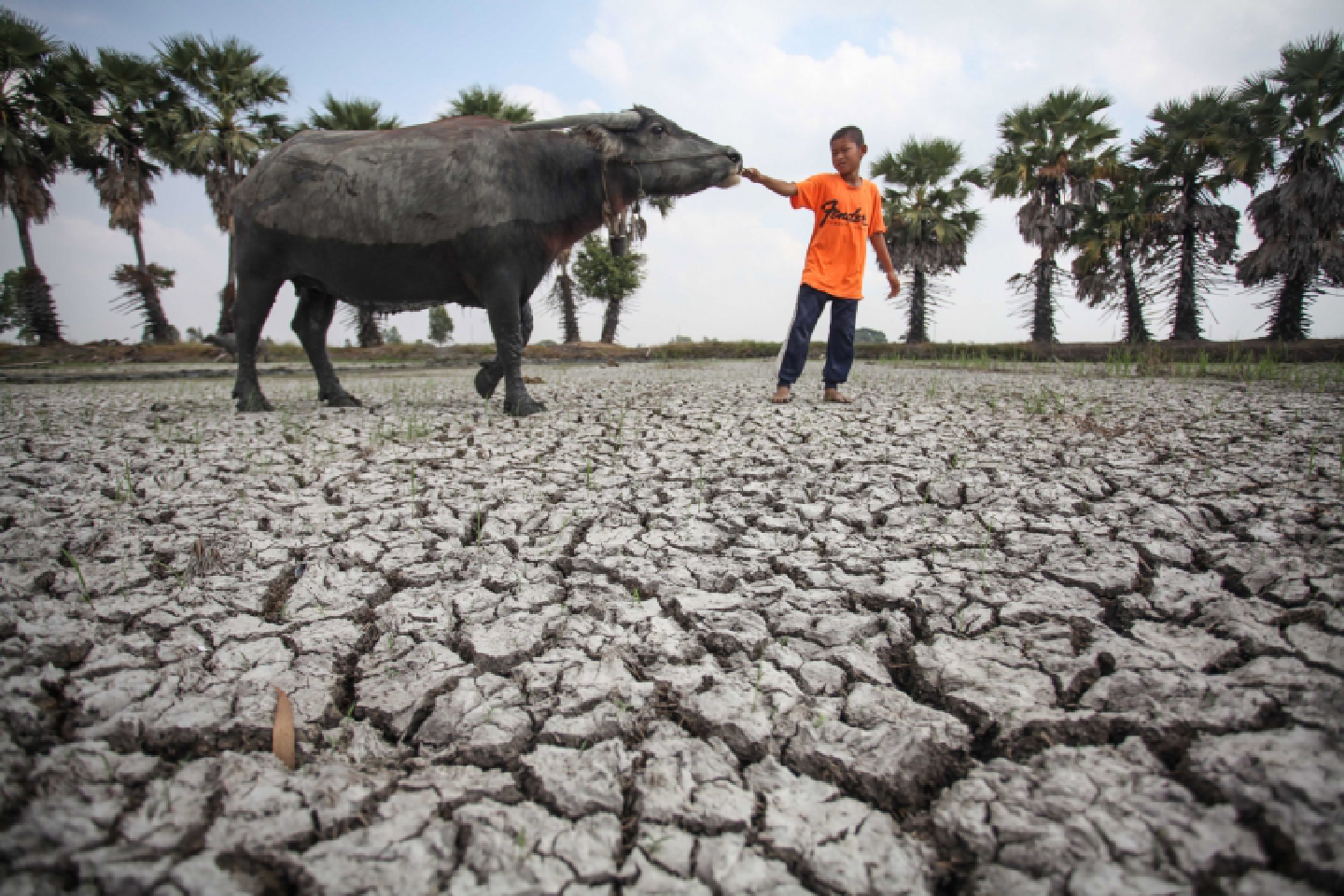 Yom River may dry up in 70 days Yom River may dry up in 70 days