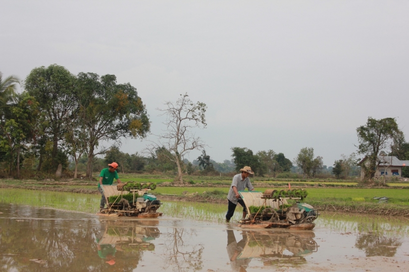Lao rice farmers seeking more export markets