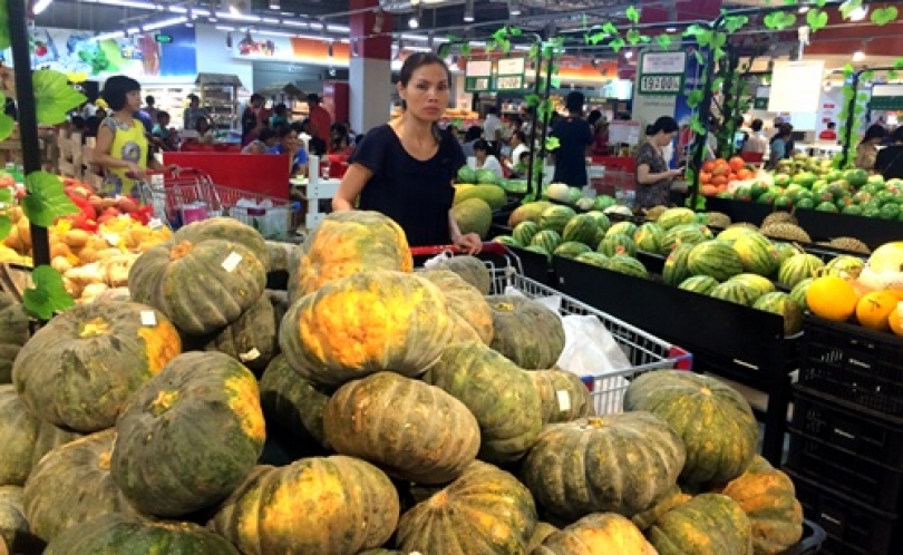 Vietnamese firms need better foreign market penetration strategies