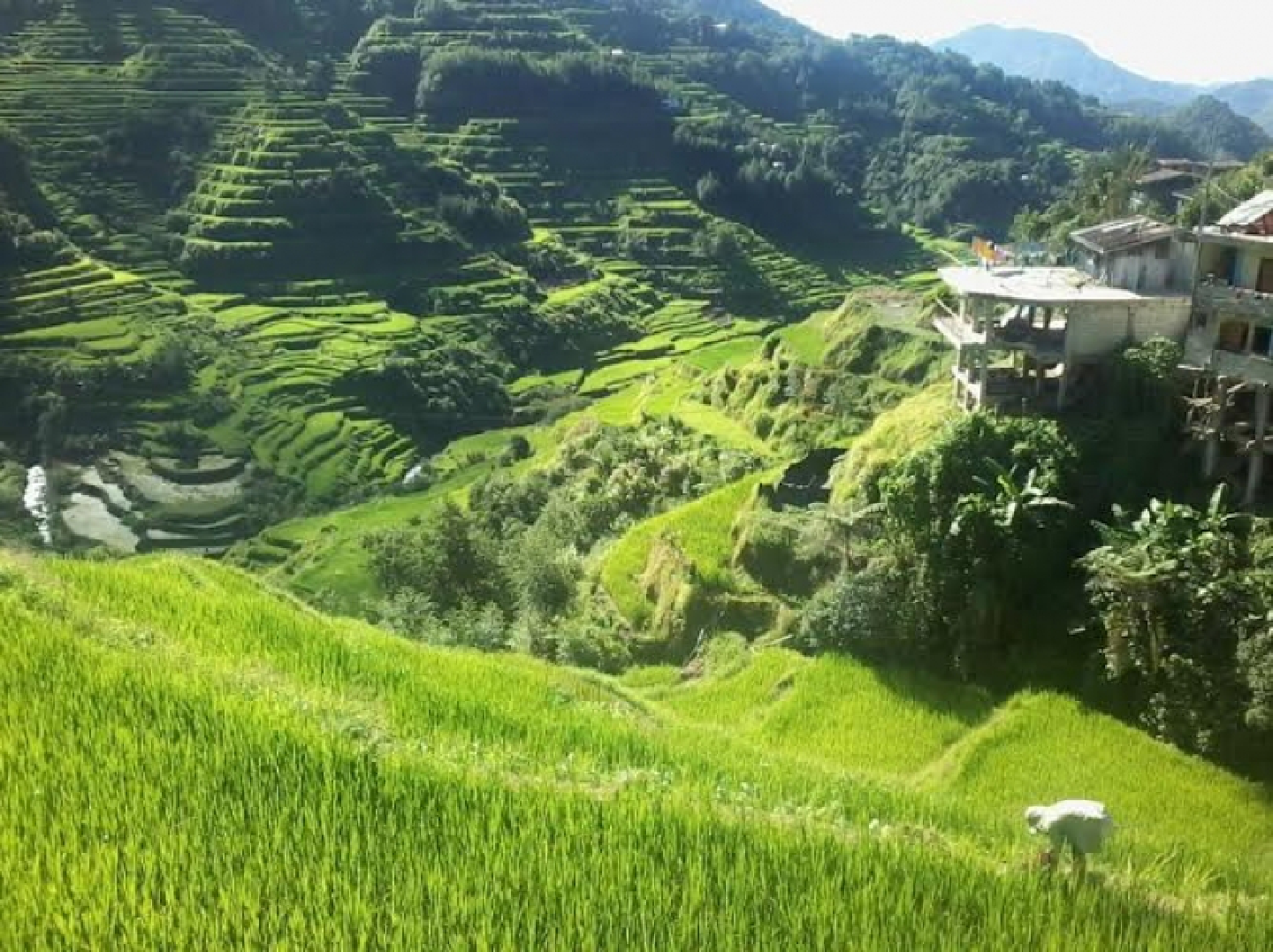 Parking building in Ifugao mars sightline of Banaue Terraces: Unesco experts
