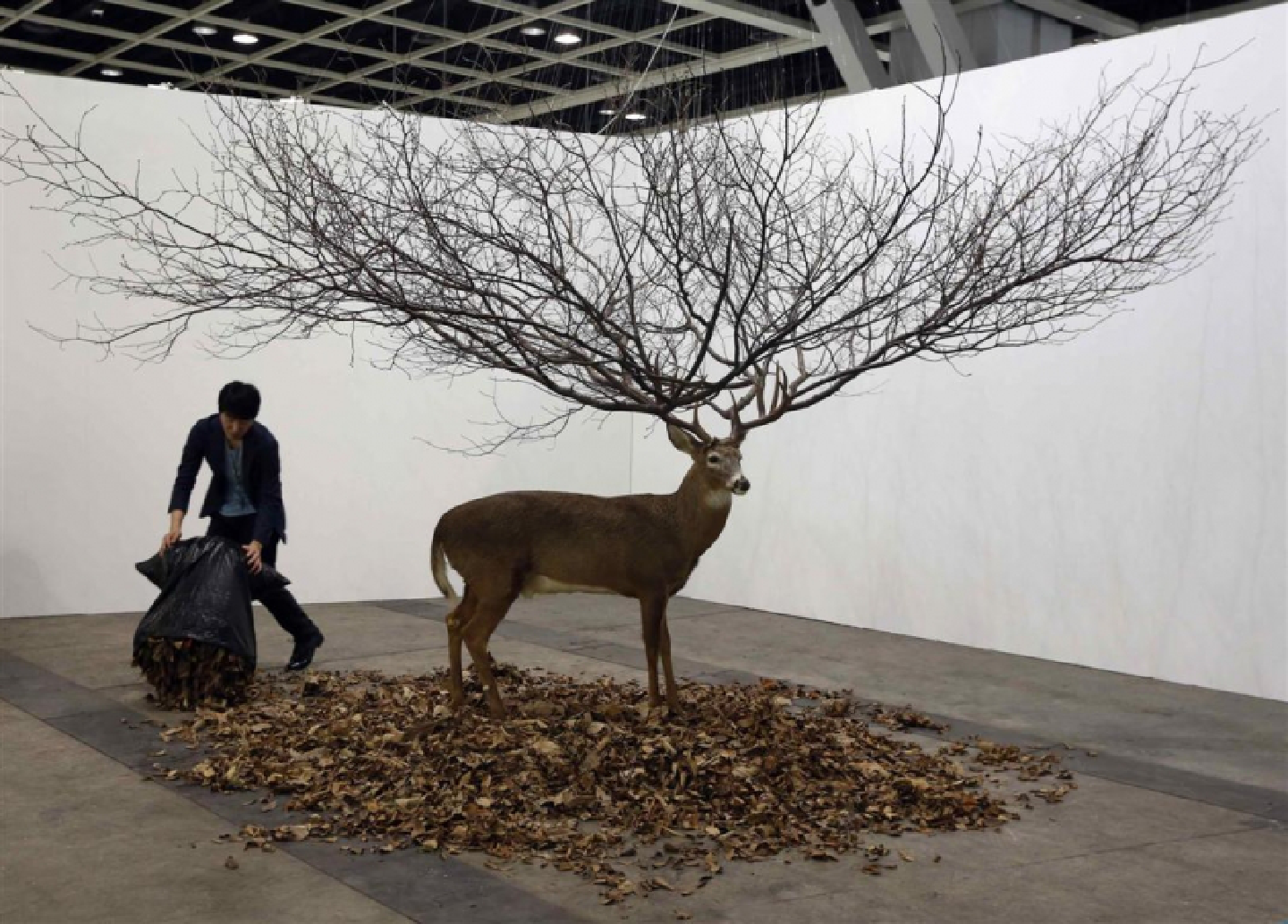 A boost for Asian art A boost for Asian art